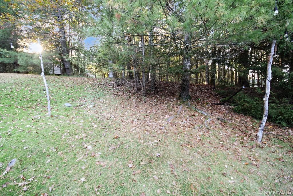 20 Lakeview Court thumbnail 8