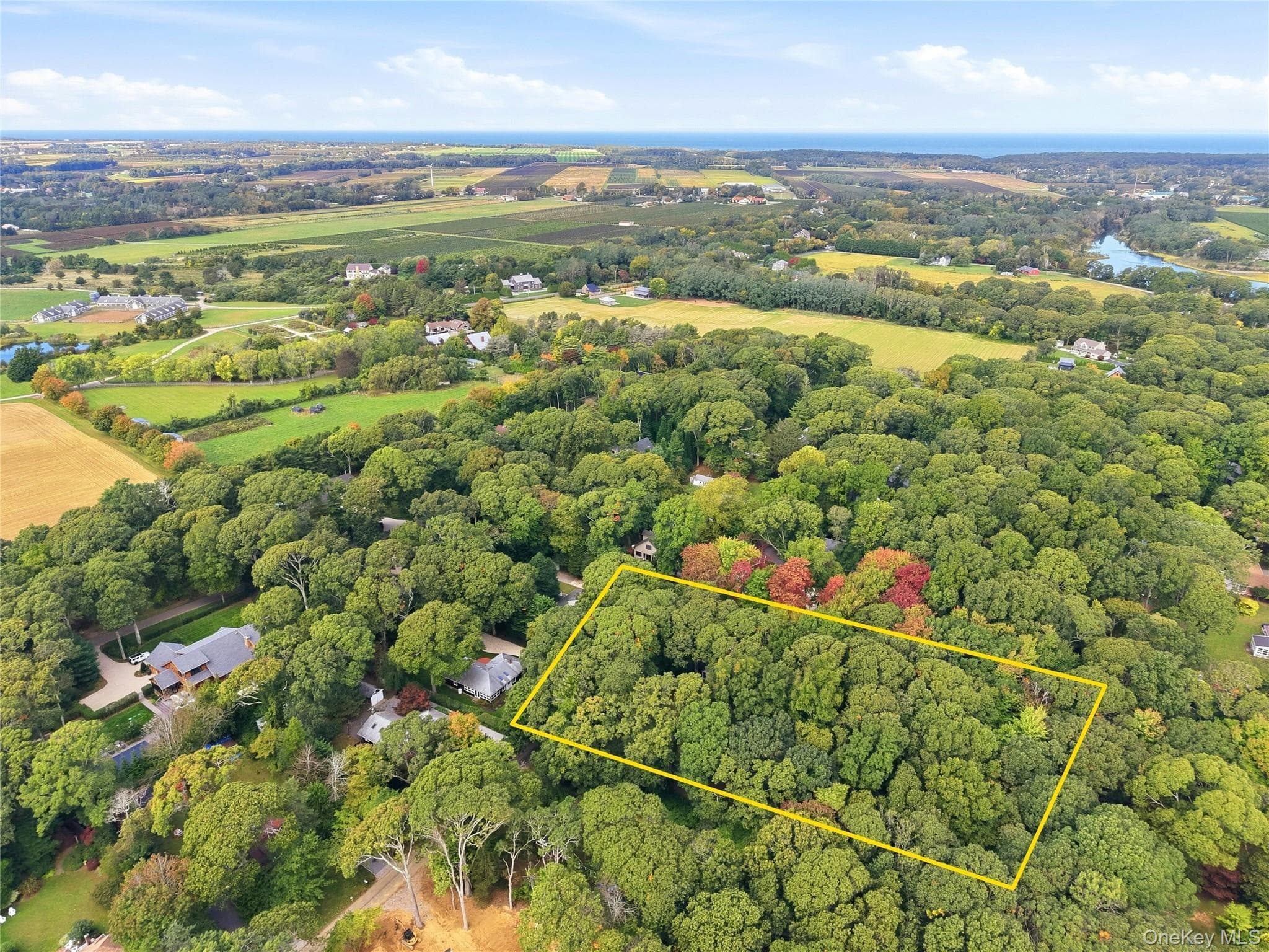 965 Smith Road thumbnail 12