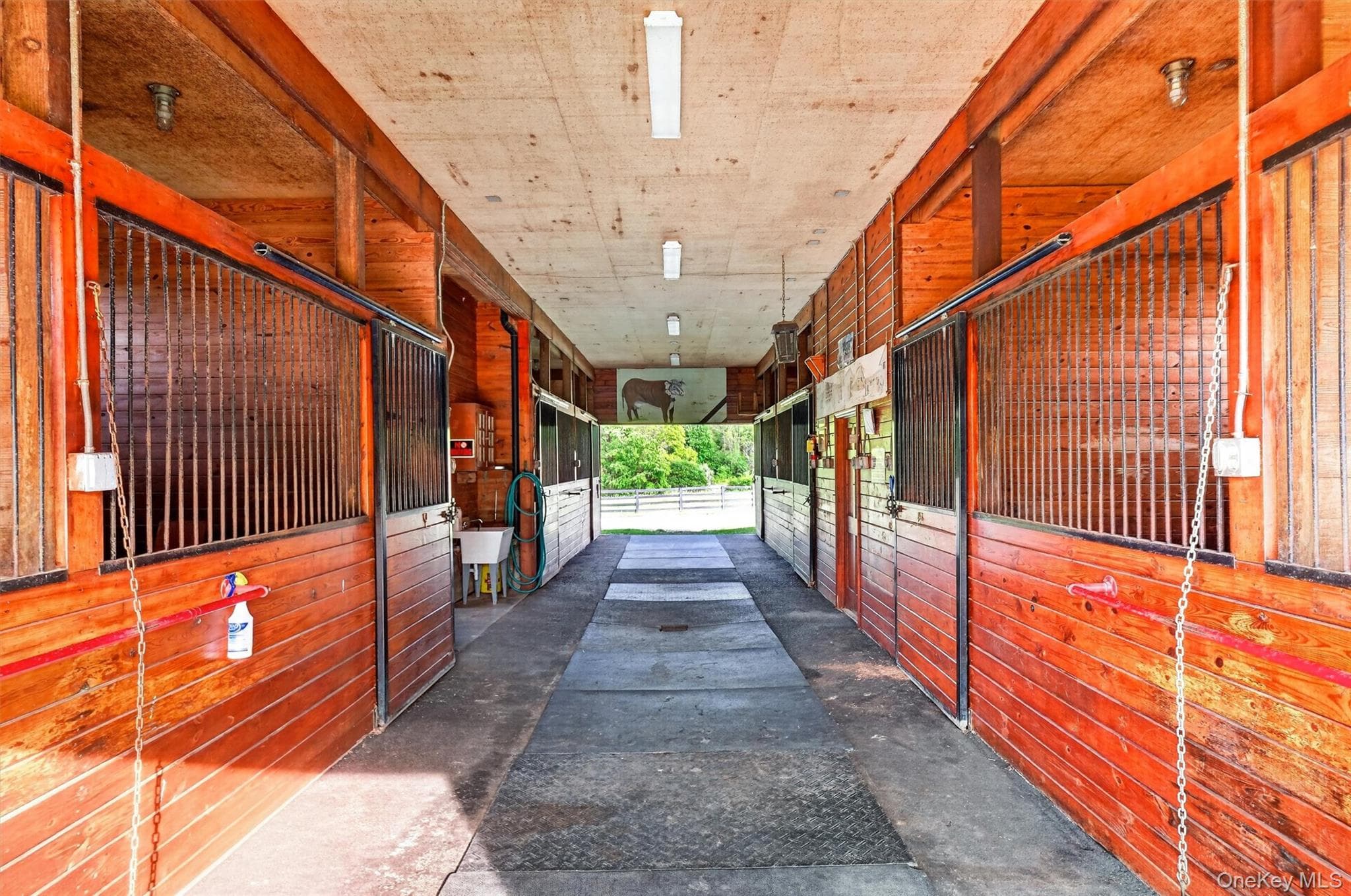 165 Hasbrouck Road thumbnail 5