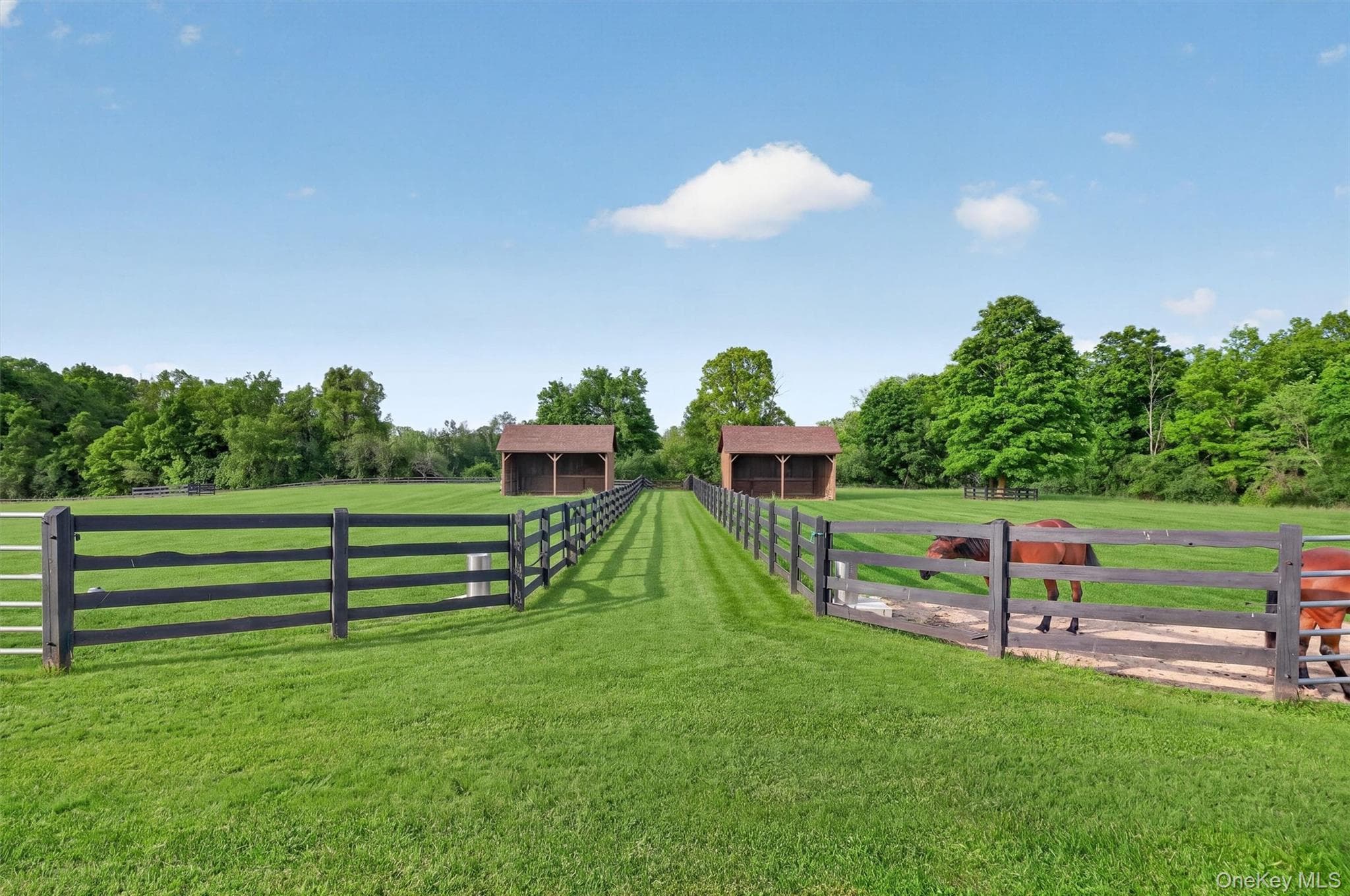 165 Hasbrouck Road thumbnail 6