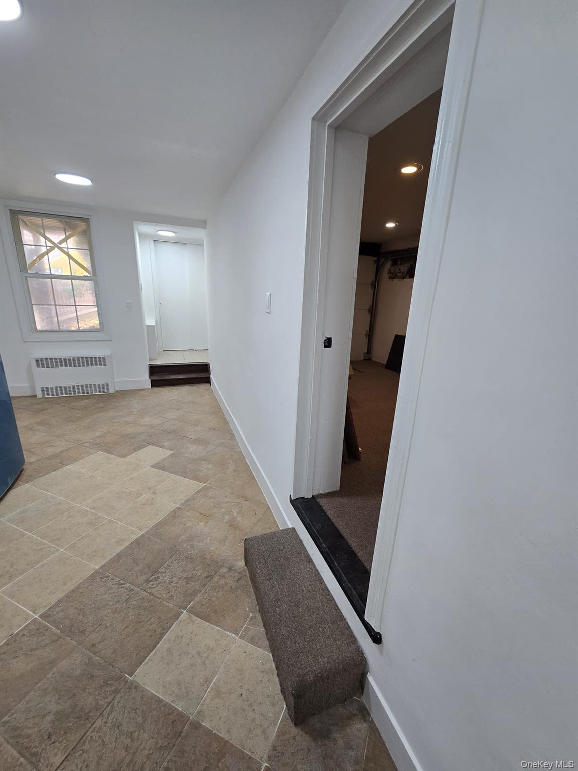 1161 E 101st Street thumbnail 27