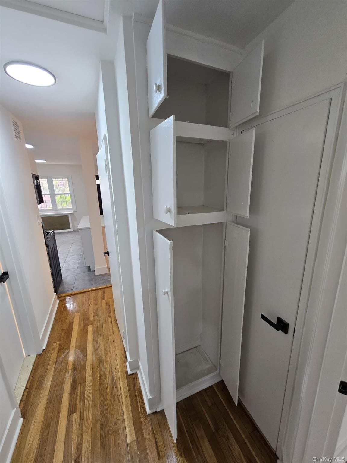 1161 E 101st Street thumbnail 15