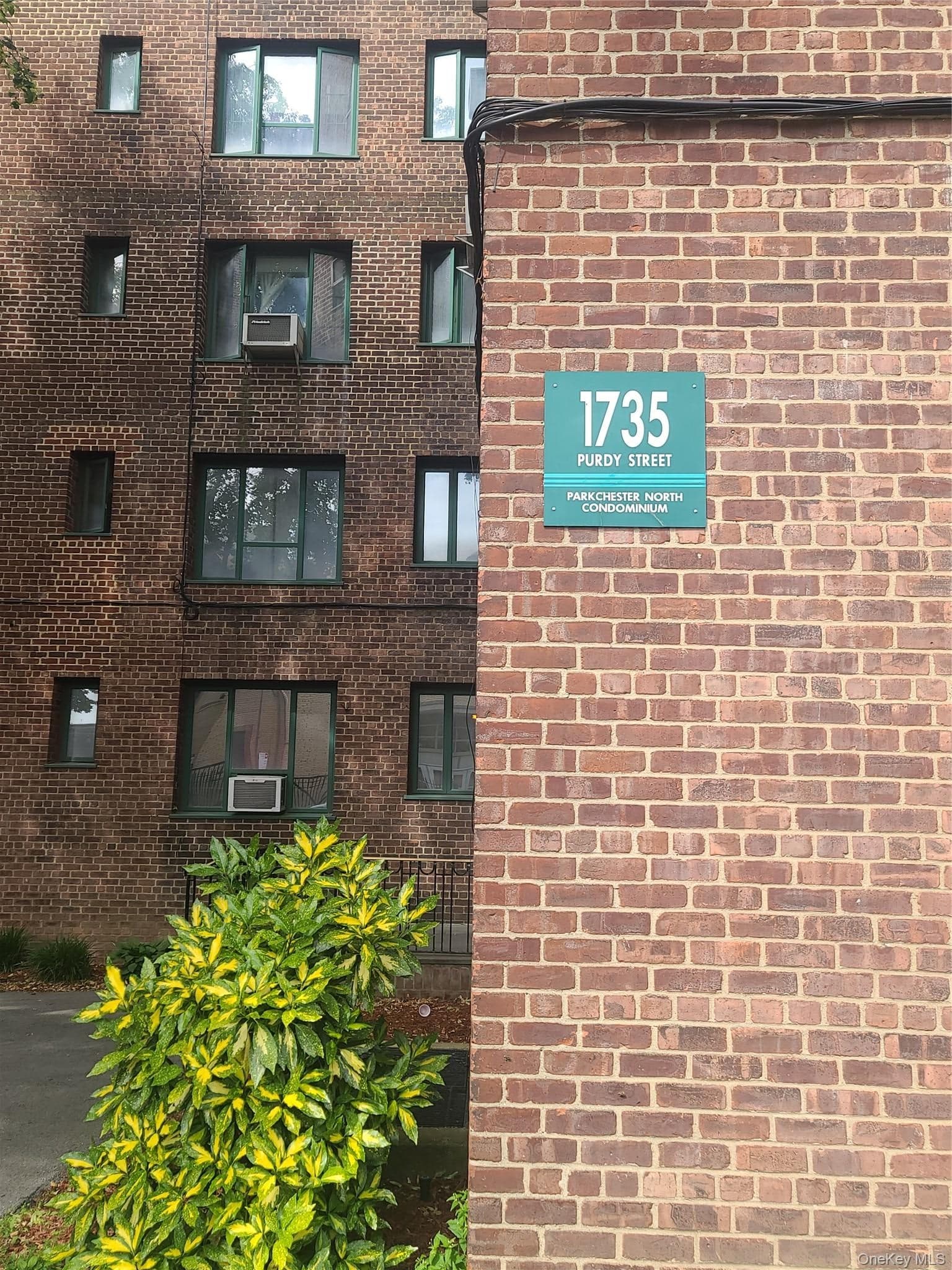 1735 Purdy Street Unit: 5A thumbnail 3
