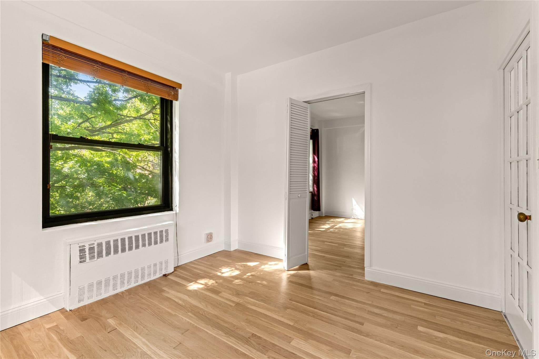 99-40 63 Road Unit: 1E thumbnail 12