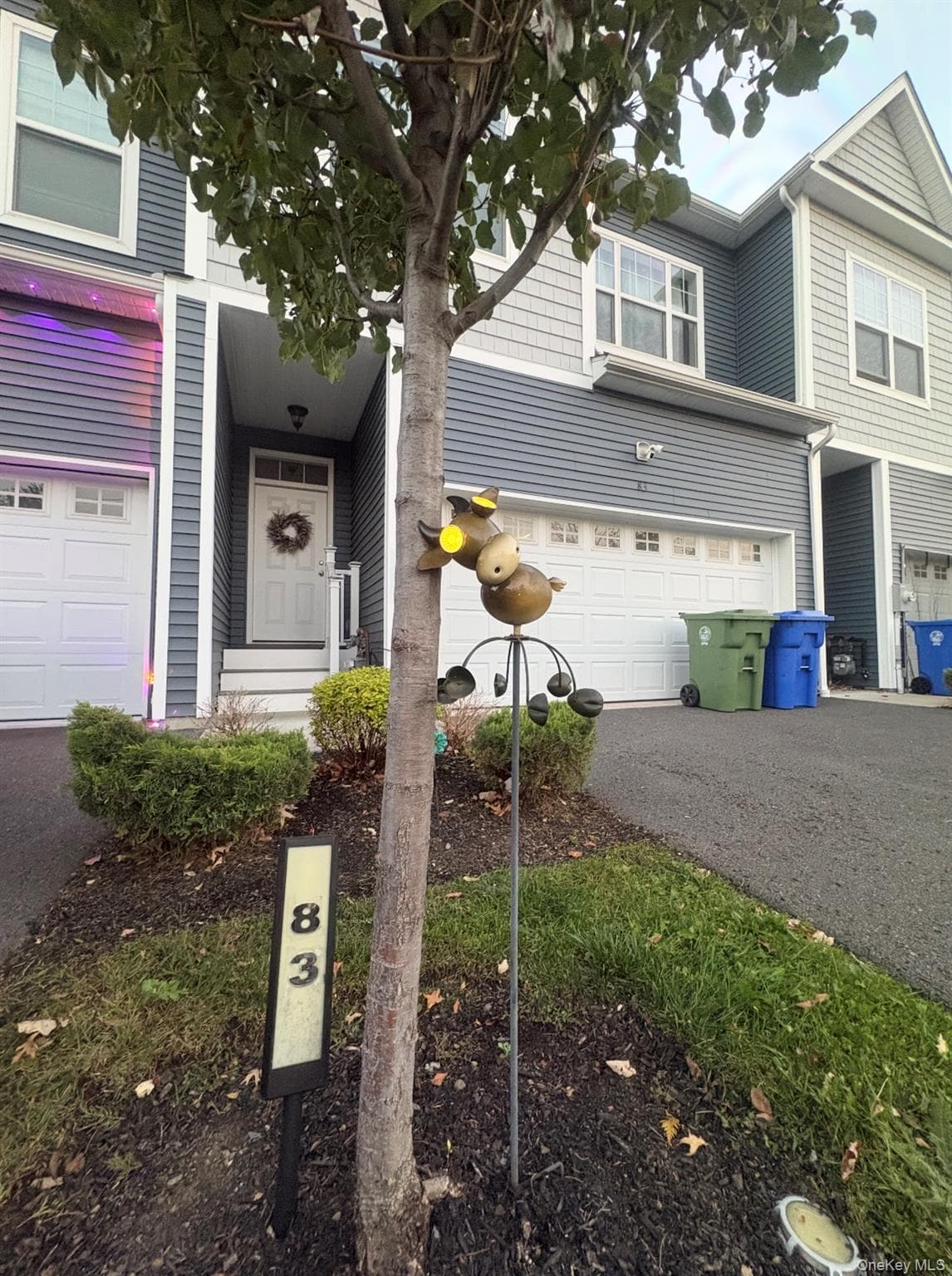 83 Anthony Street thumbnail 2