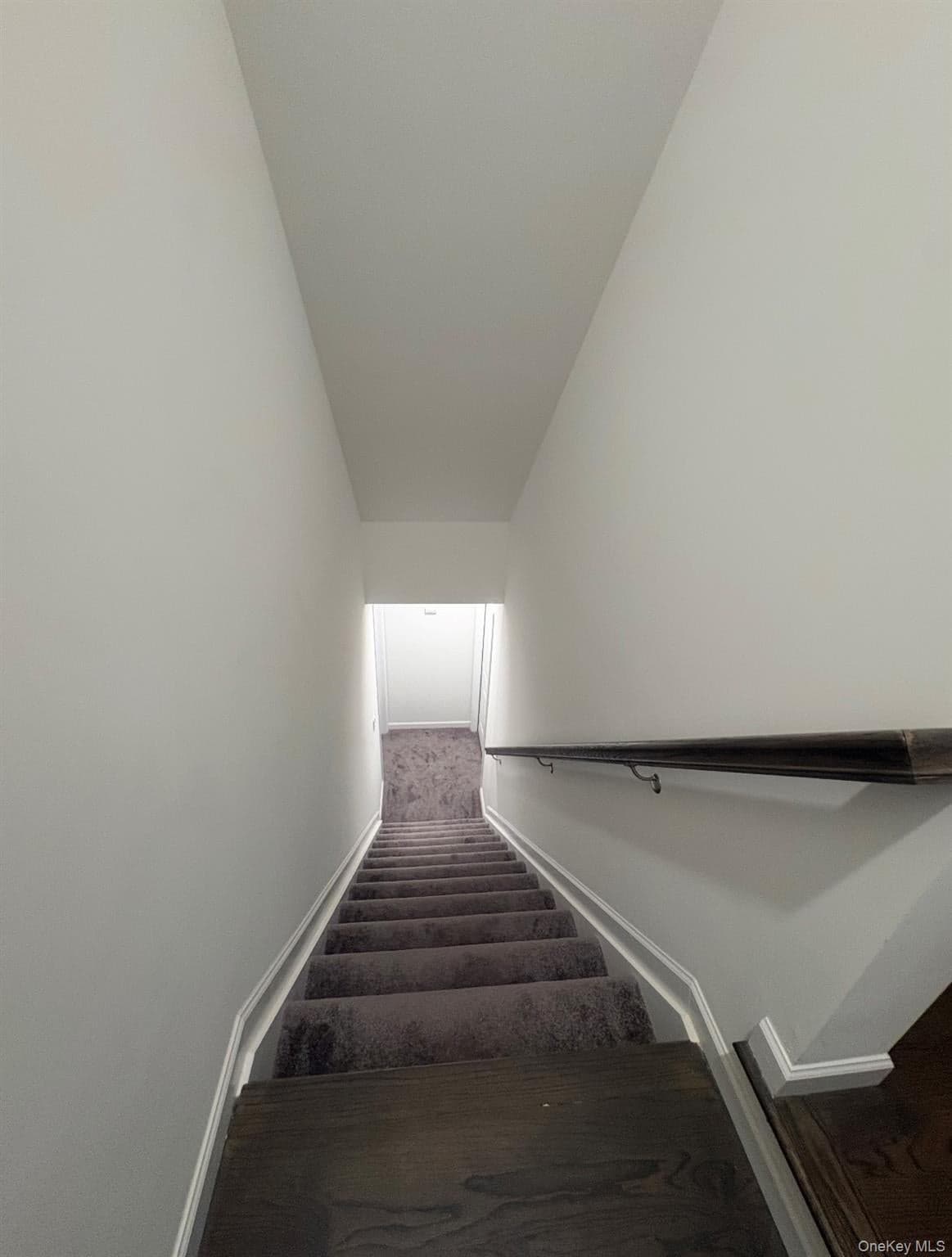 83 Anthony Street thumbnail 17