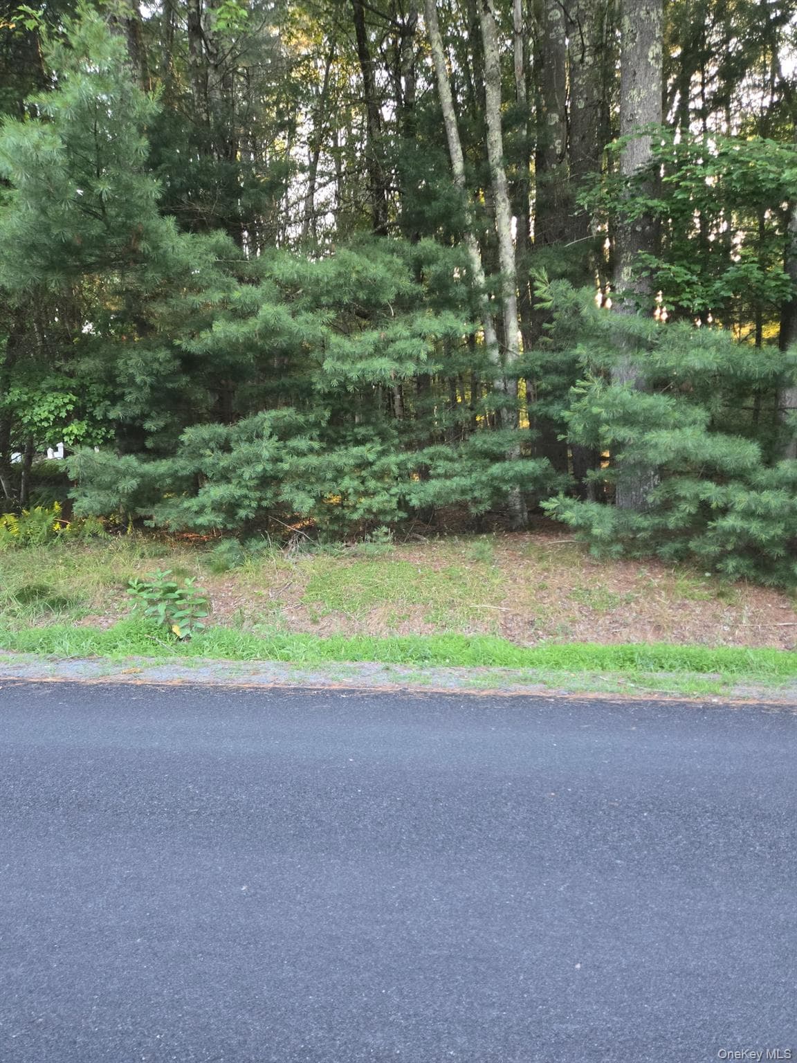 Horseshoe Lake Road thumbnail 4