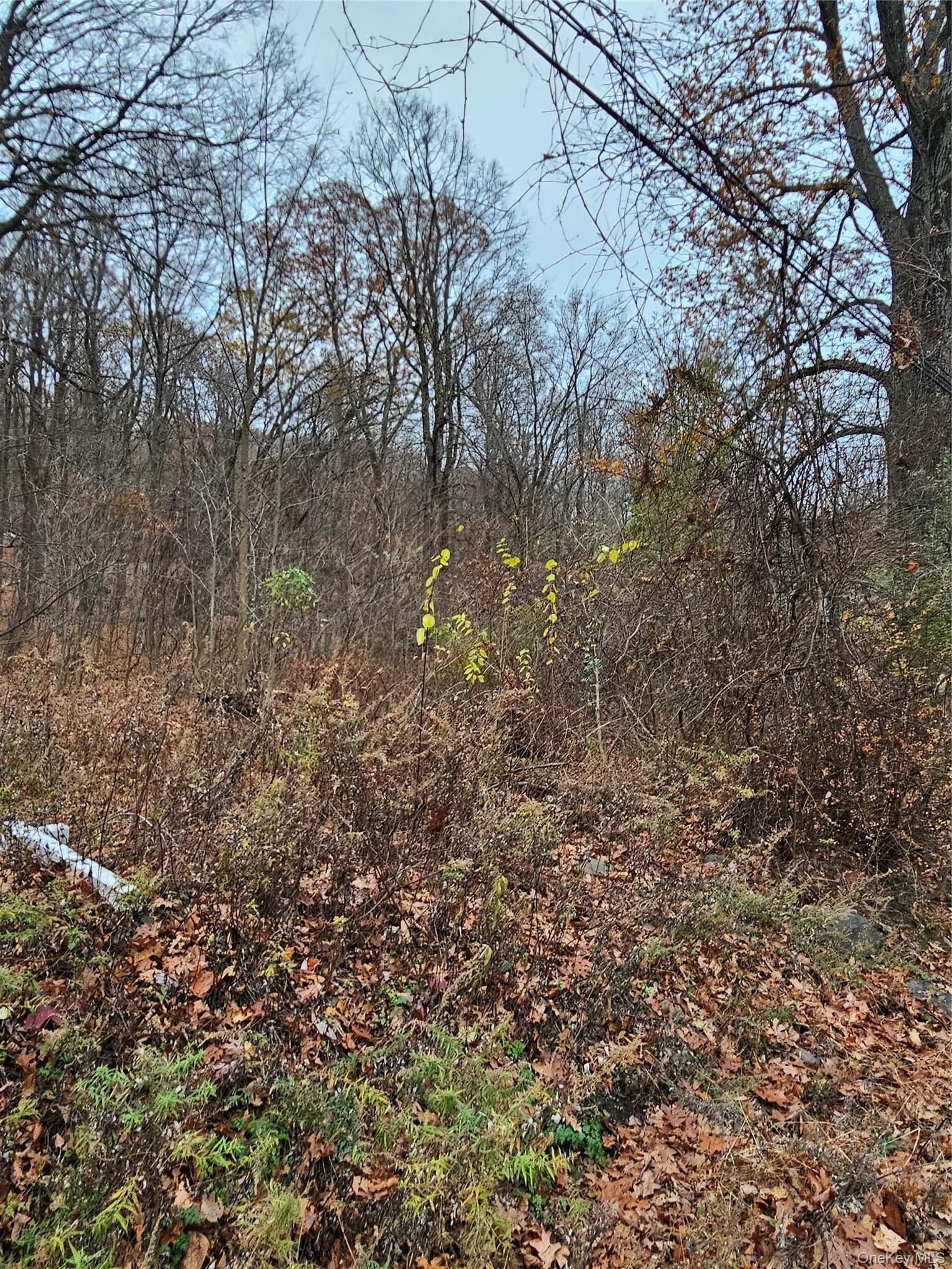 73 Sylvan Trail photo 1