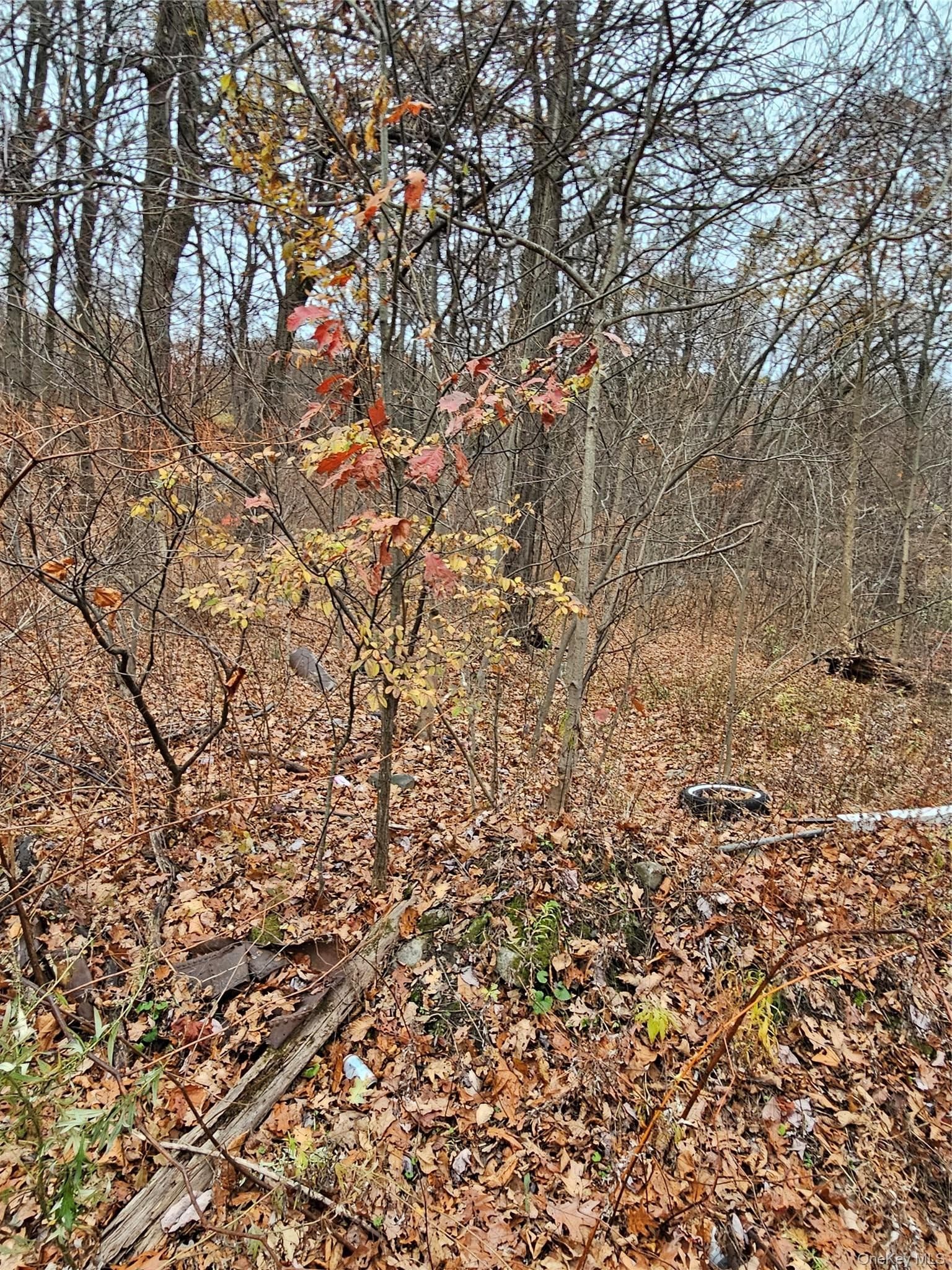 73 Sylvan Trail thumbnail 2