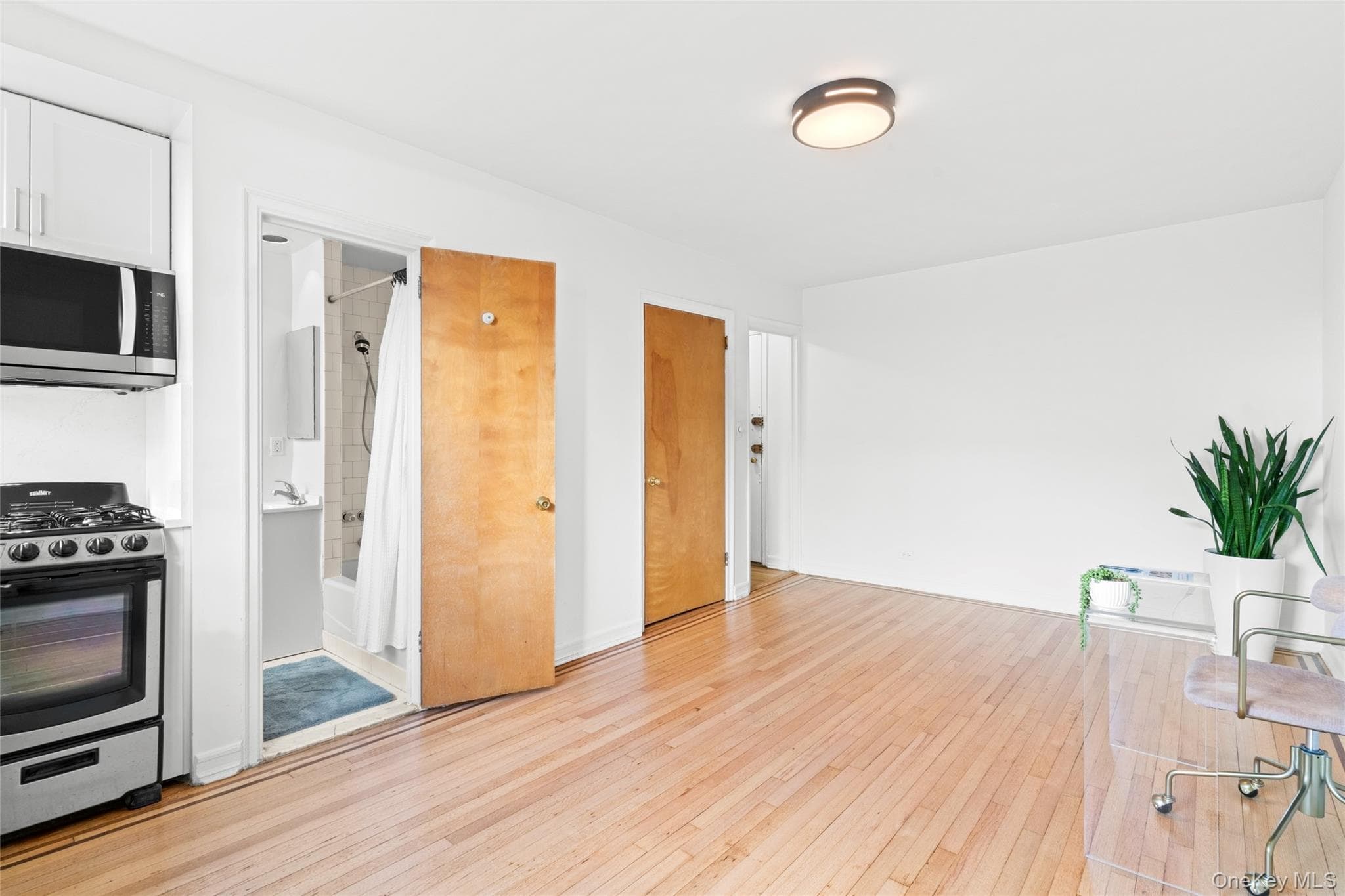 300 8th Avenue Unit: 4N thumbnail 4