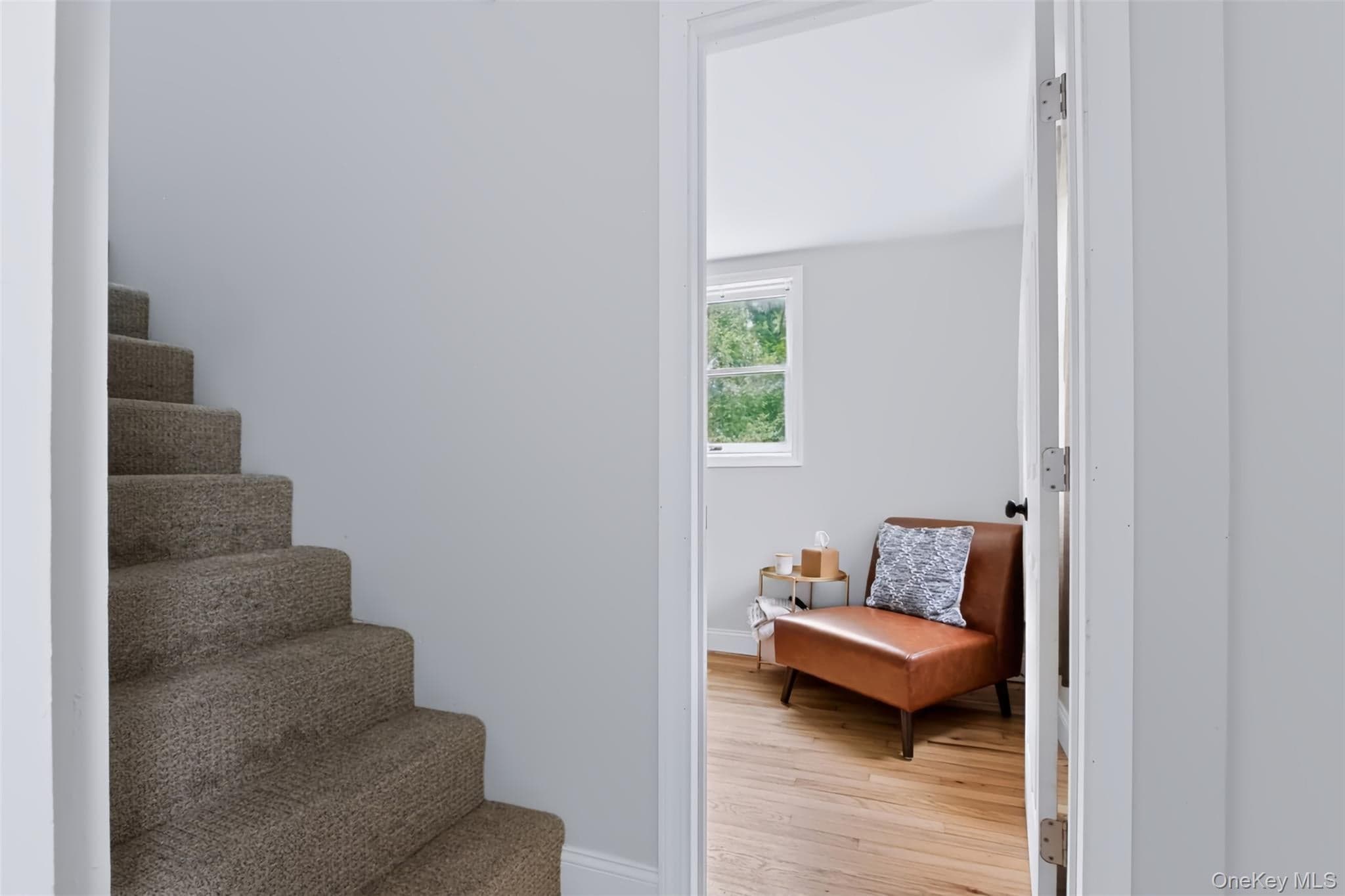 105 White Street thumbnail 17