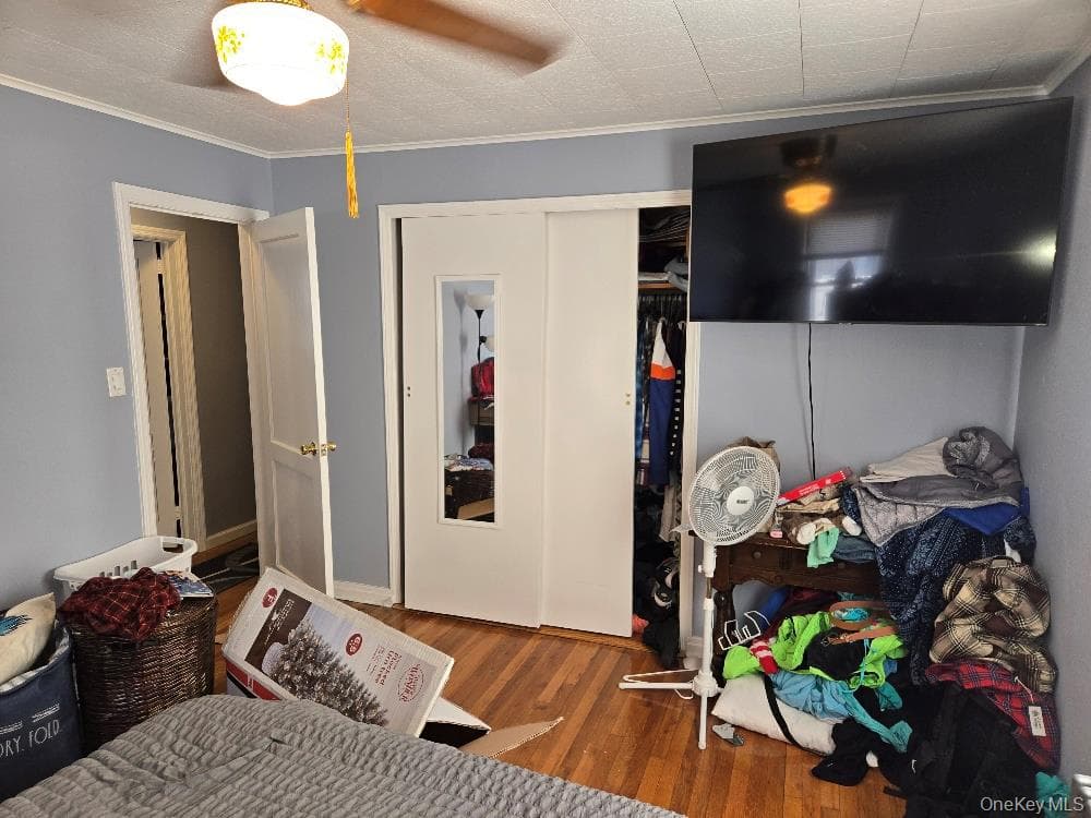 12 Carson Street thumbnail 13