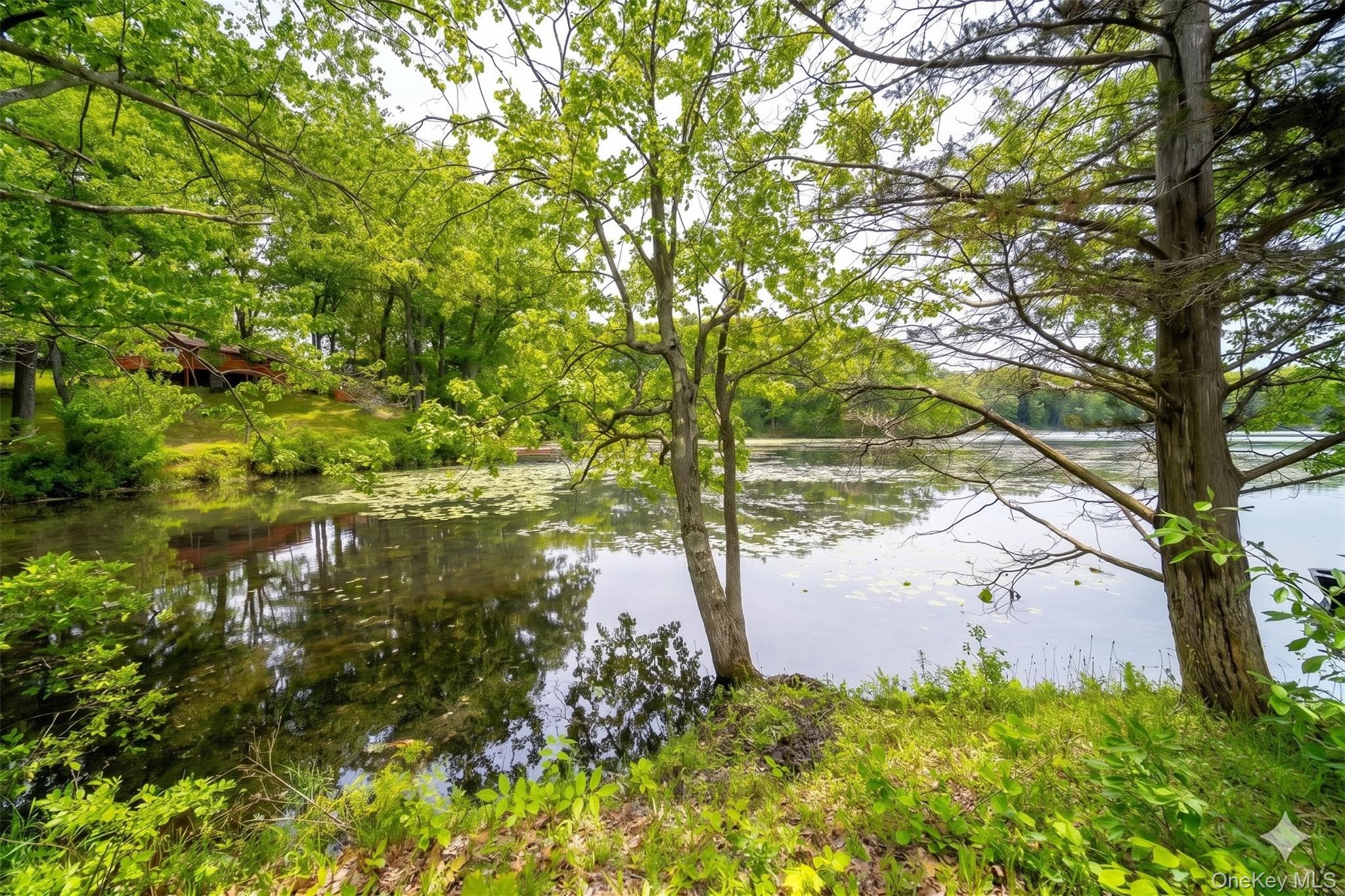 71 Lake Shore Road thumbnail 21