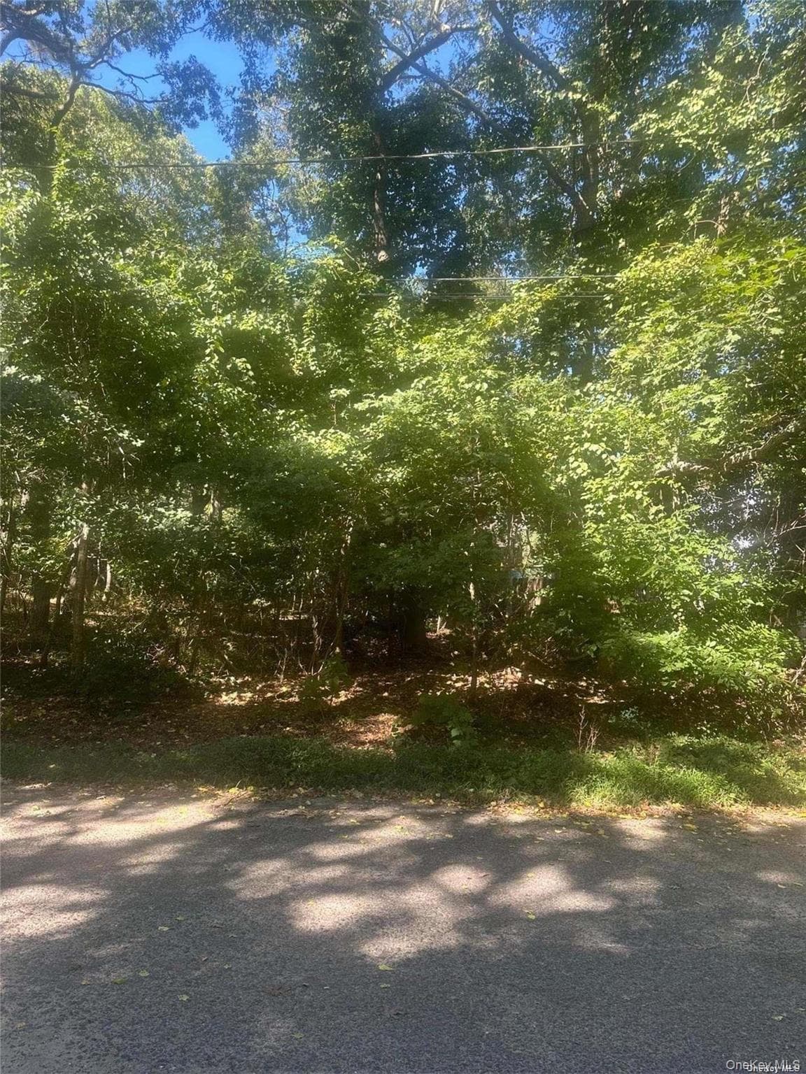 8 Shell Road thumbnail 5