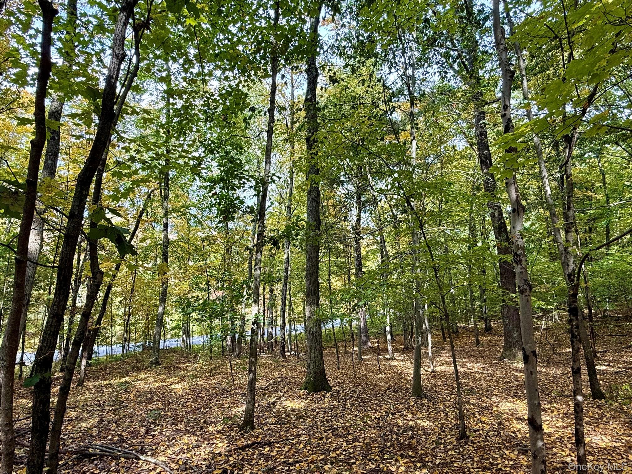 Fiddlers Bridge Road, Staatsburg
