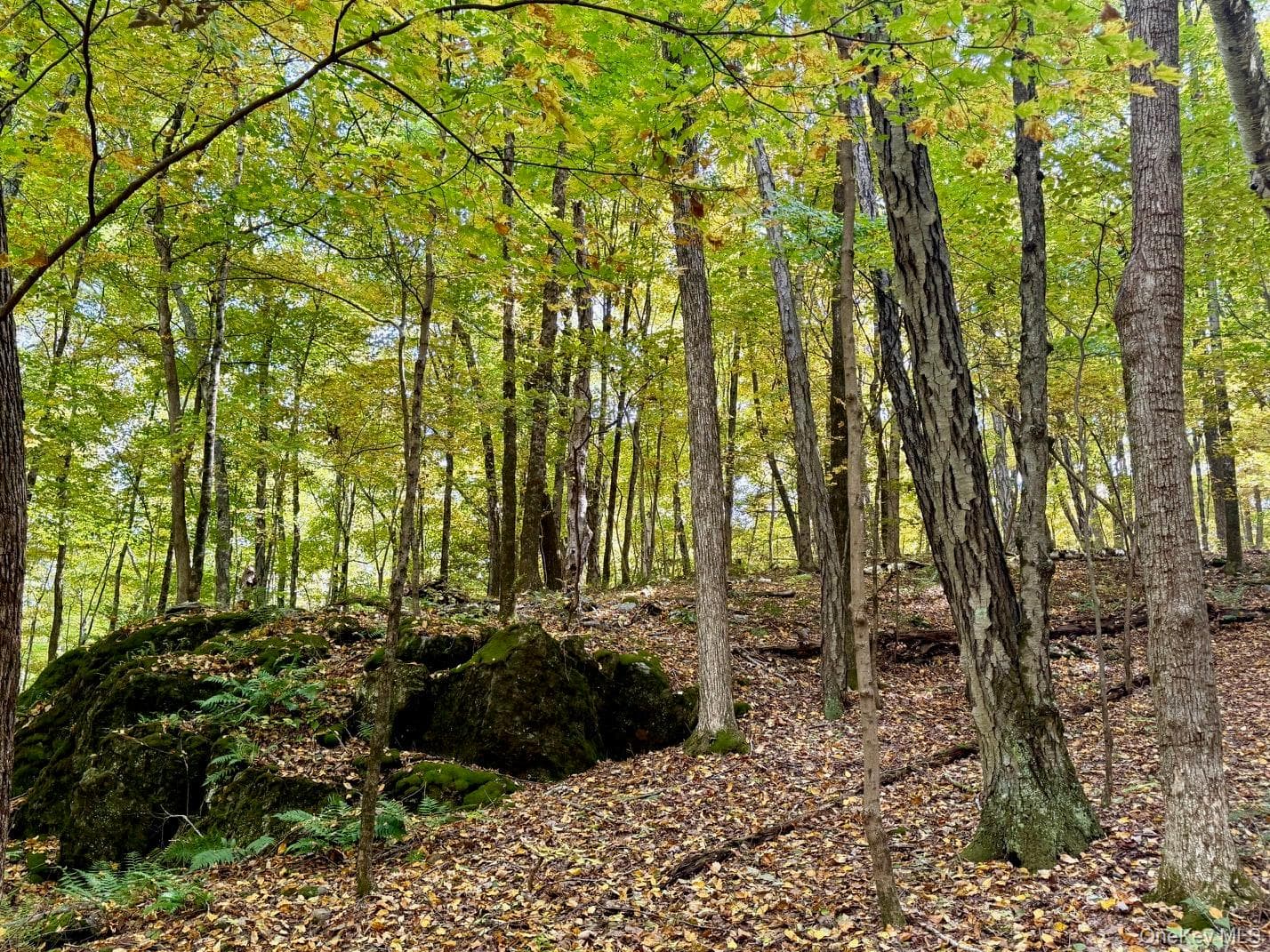 Fiddlers Bridge Road thumbnail 7