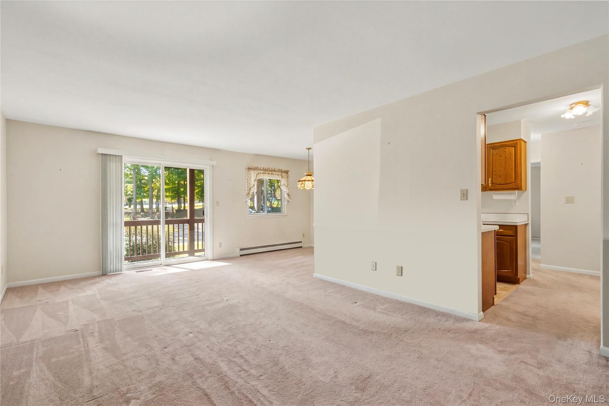 129 Main Street Unit: A1 thumbnail 3