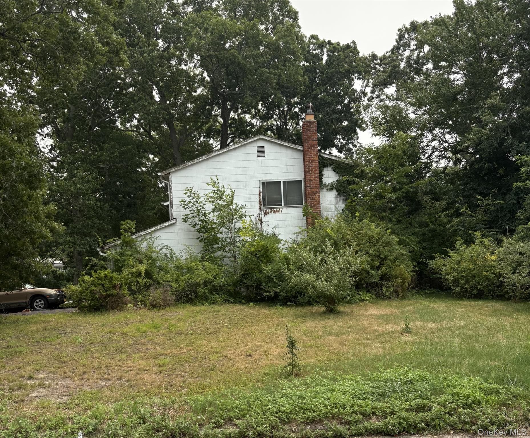 36 Forest Lane thumbnail 3