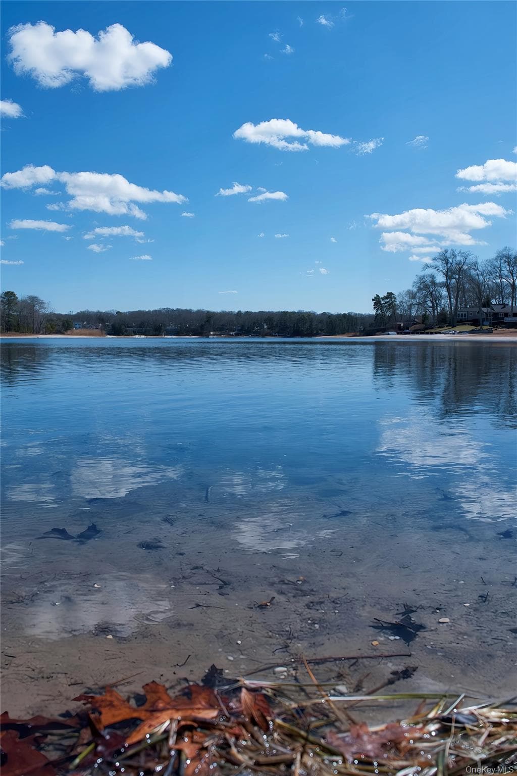 215 Lakeside Trail thumbnail 19