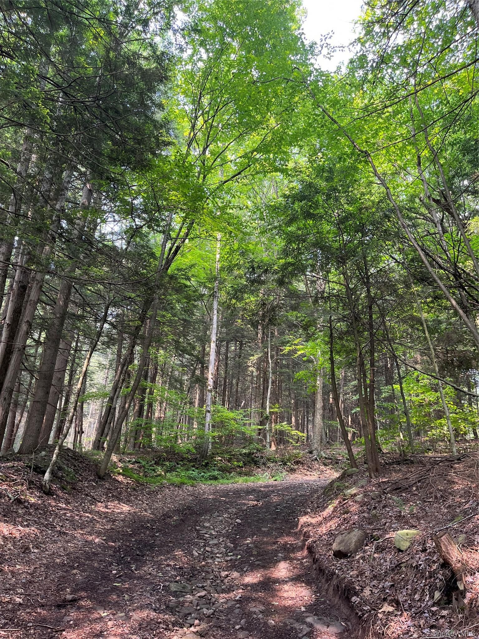 Hood Road thumbnail 21