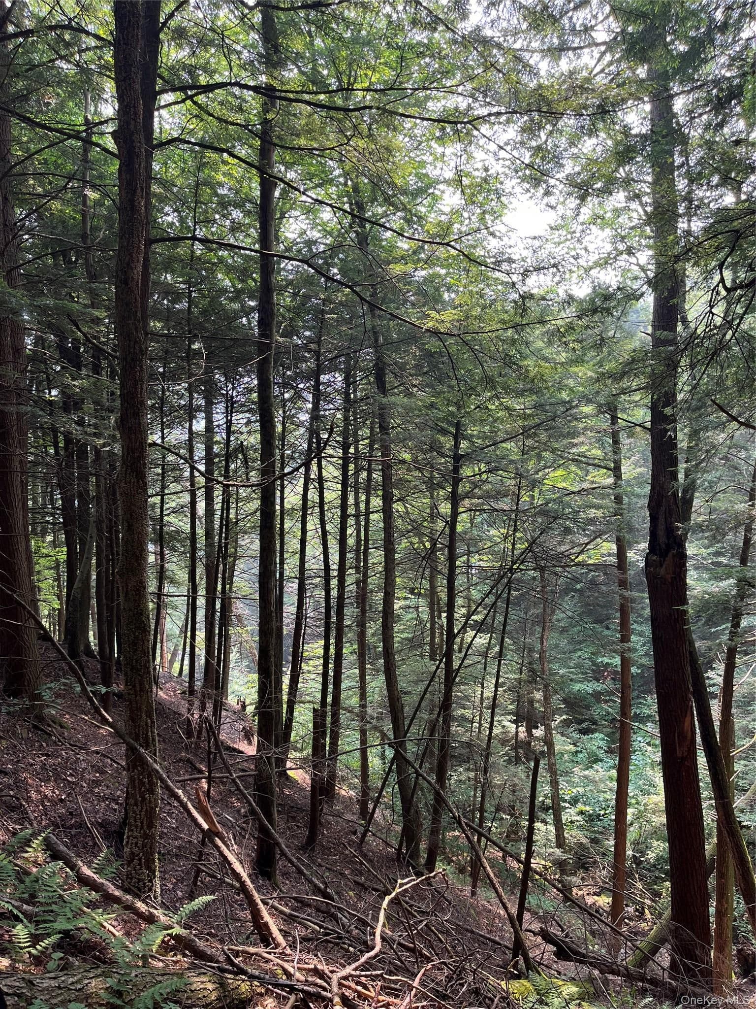 Hood Road thumbnail 20