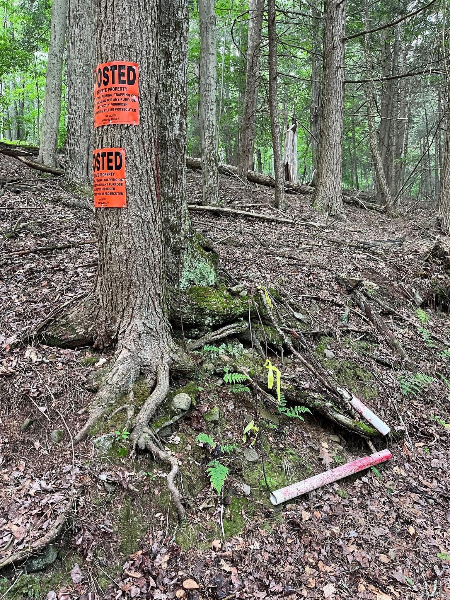 Hood Road thumbnail 11