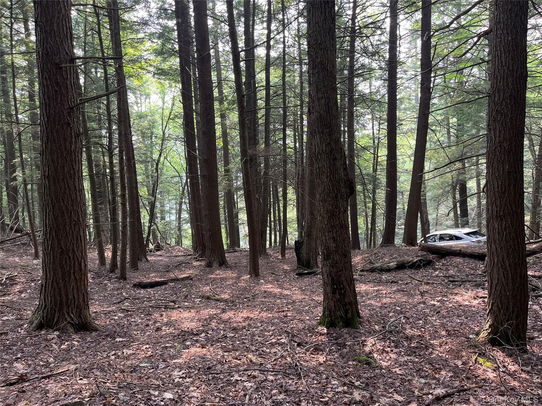 Hood Road thumbnail 23