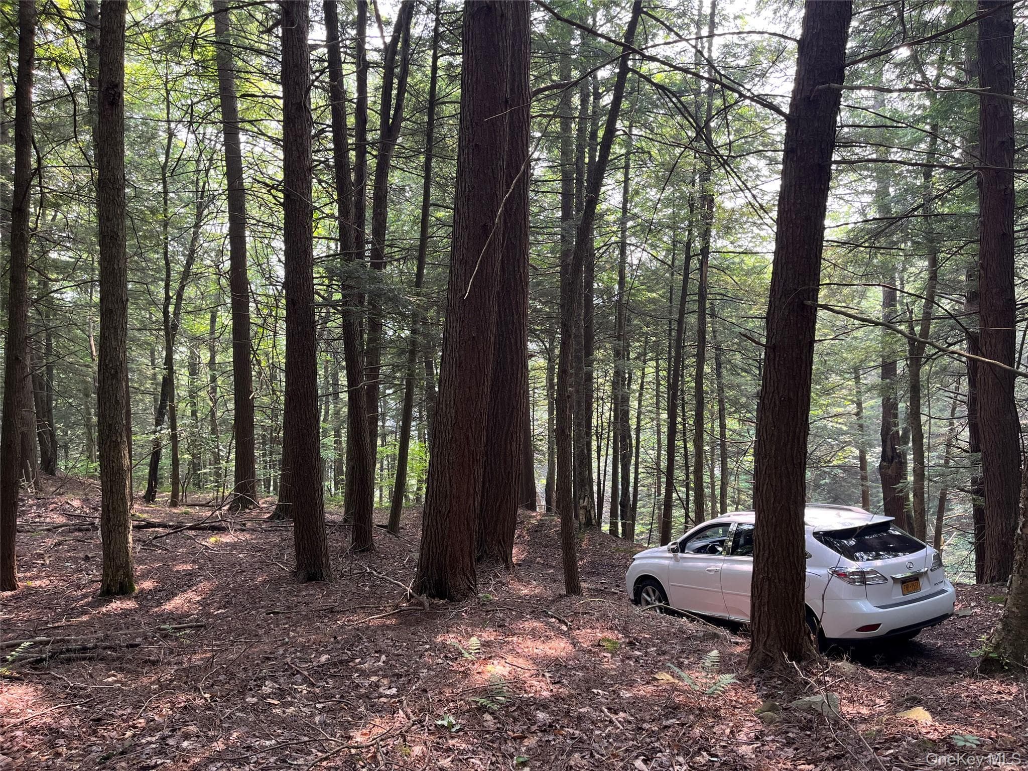Hood Road thumbnail 22