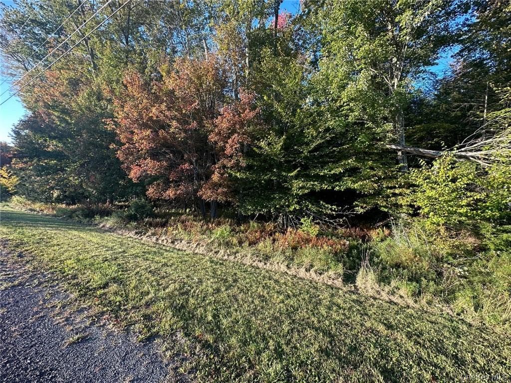 Ulster Heights Road photo 1