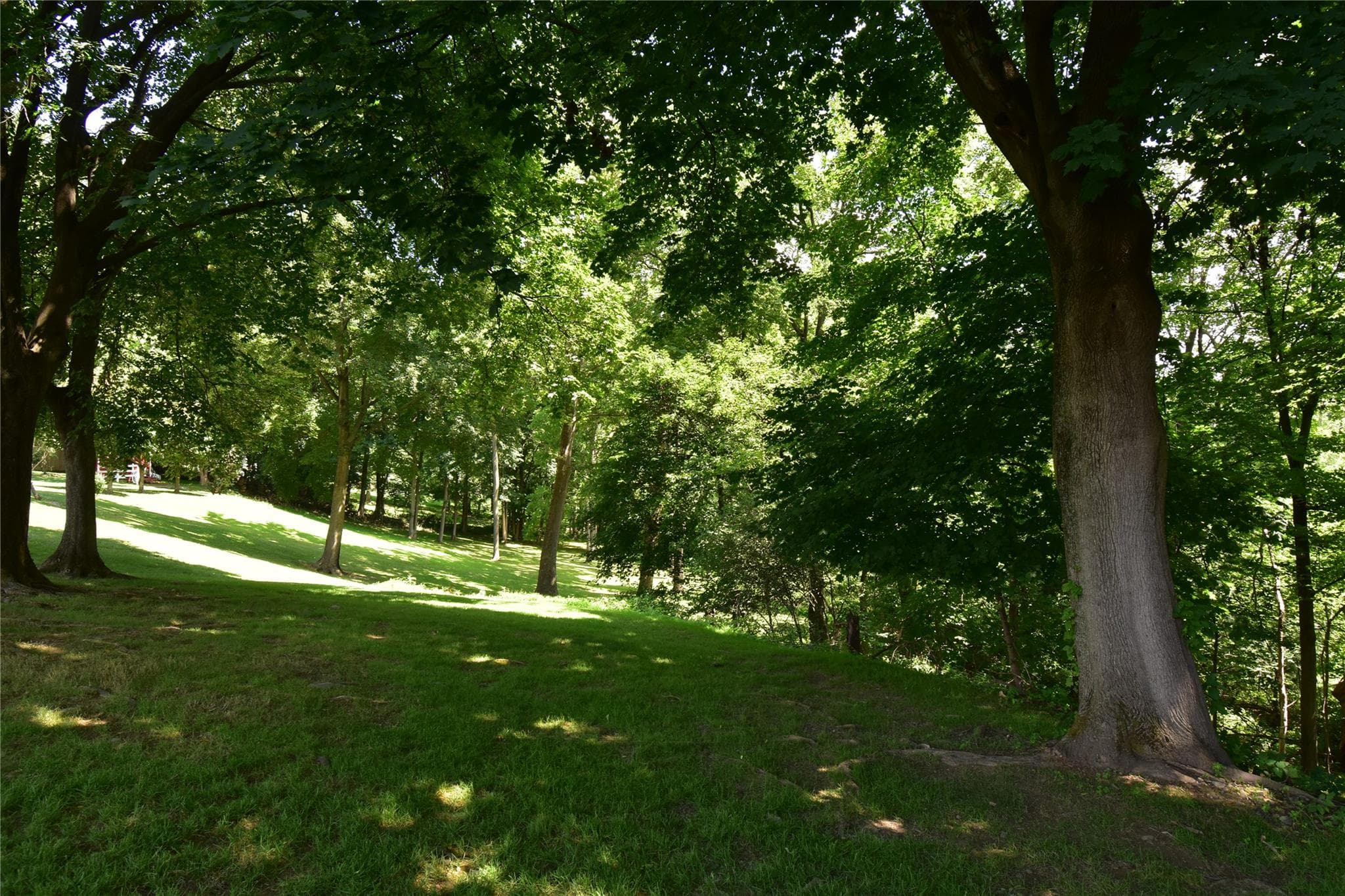 Stewart Avenue thumbnail 4