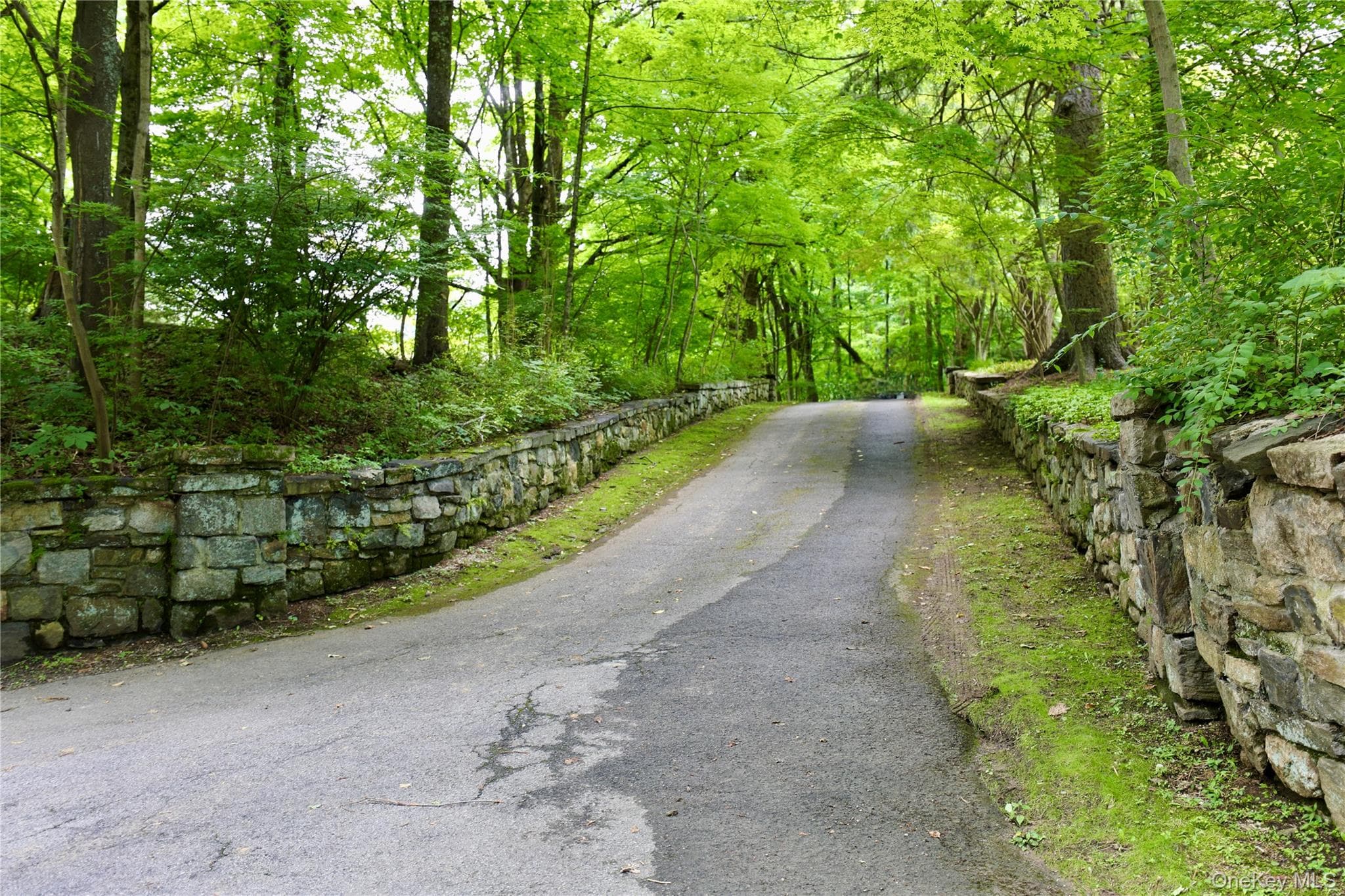 97 Morningside Drive thumbnail 4