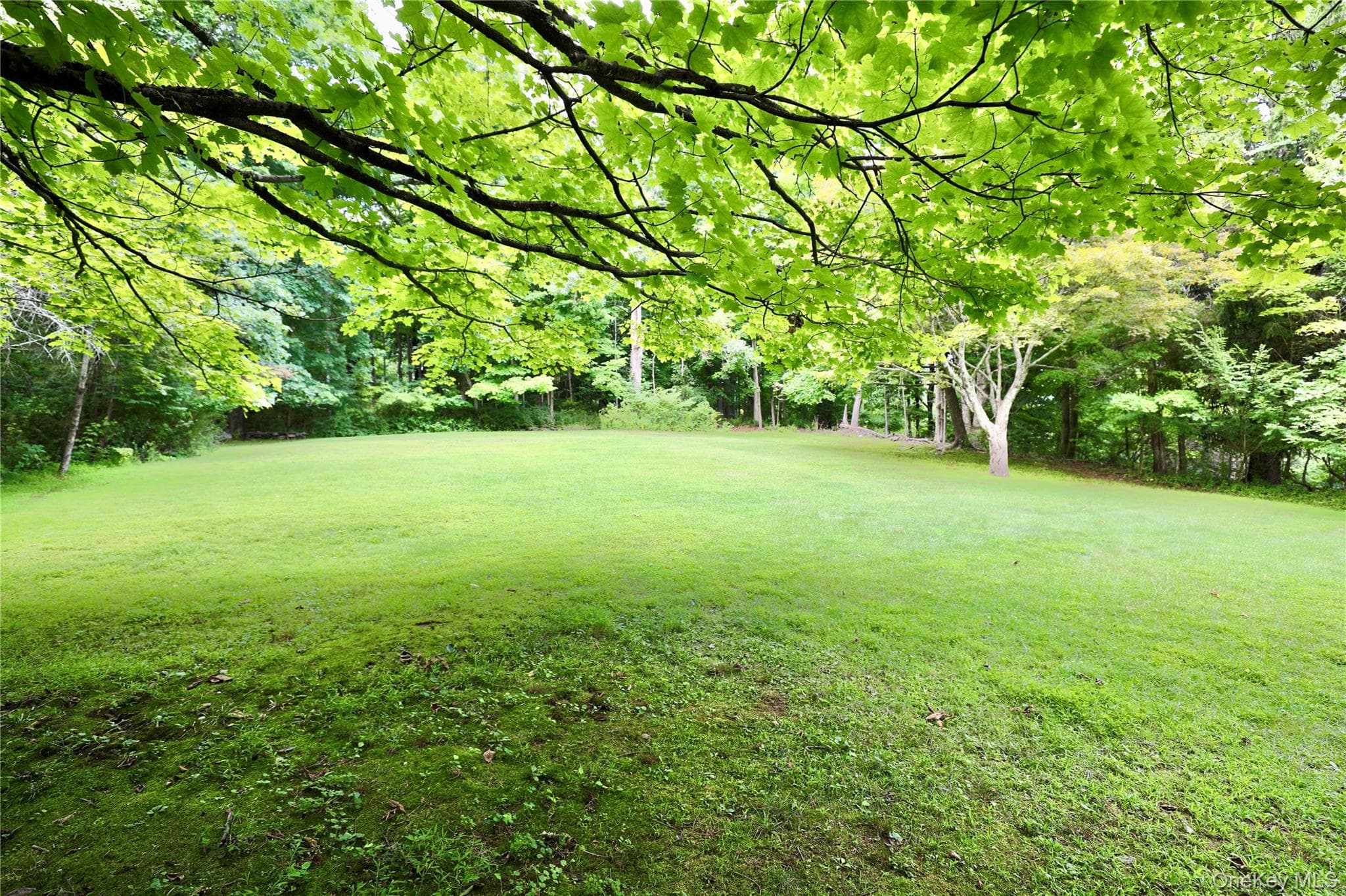 97 Morningside Drive thumbnail 26