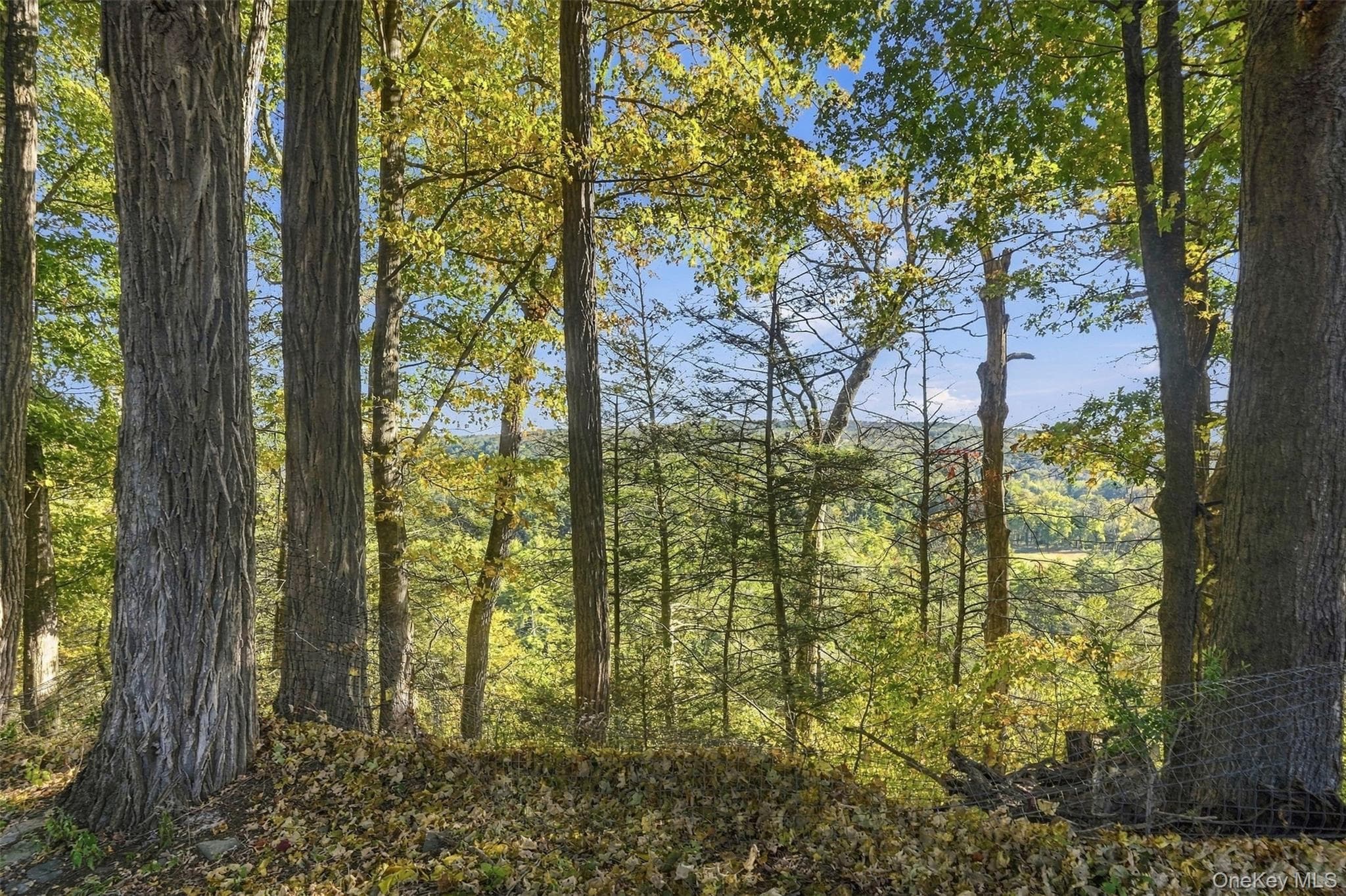 4230 Atwood Road thumbnail 42