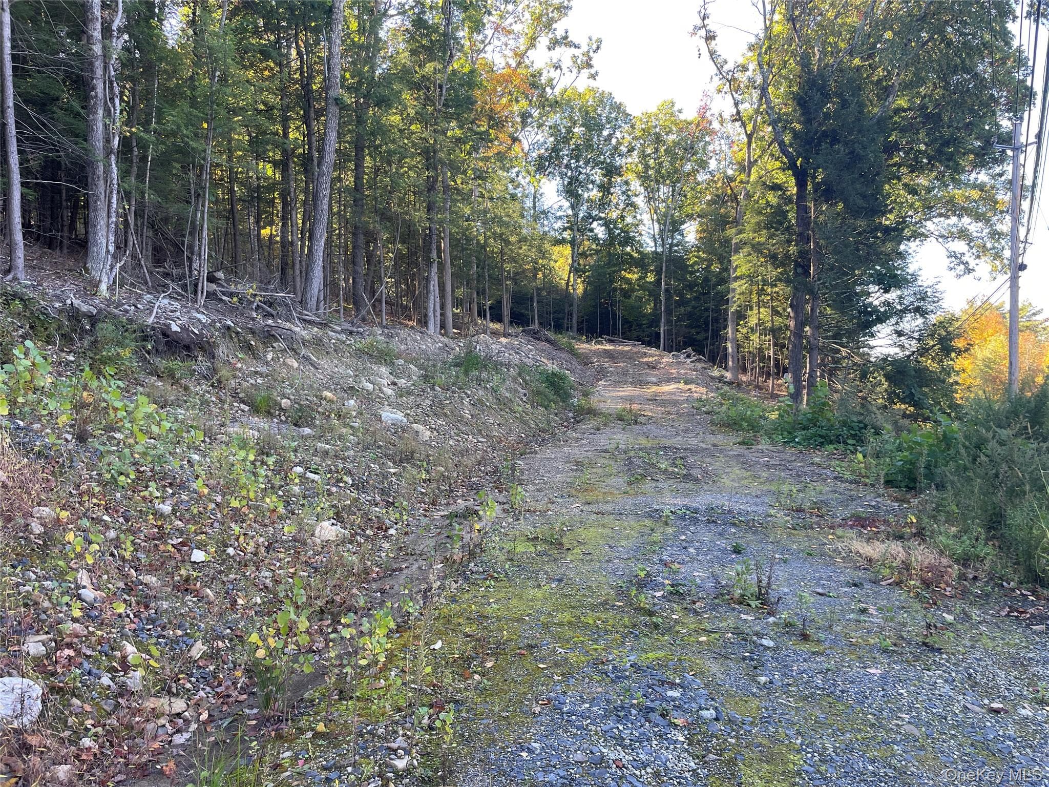 Mamakating Road, Wurtsboro