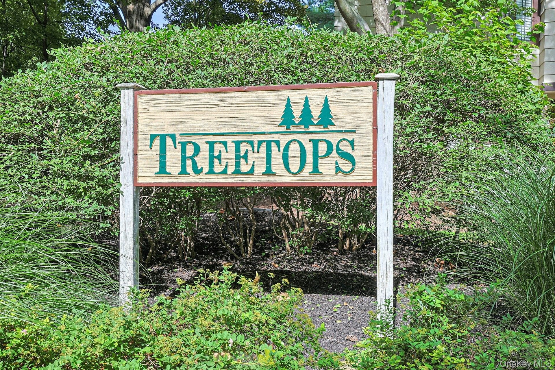 279 Treetop Circle thumbnail 2