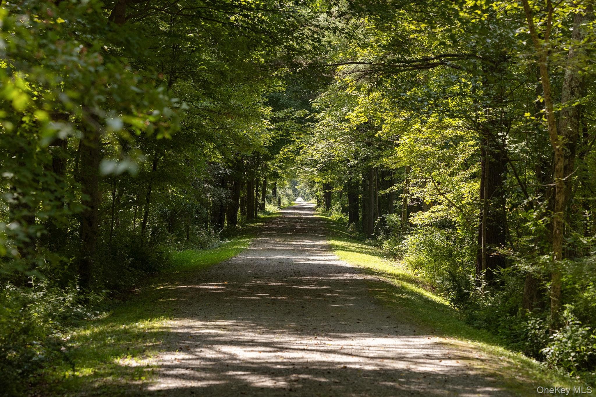 281 County Route 3 thumbnail 24