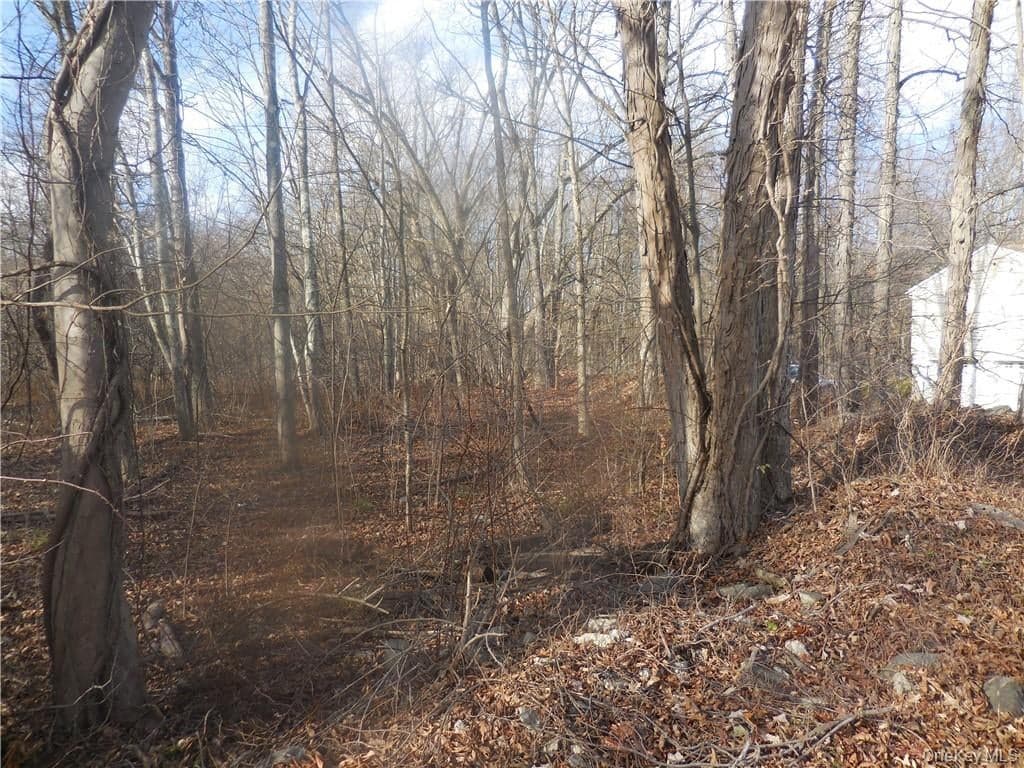 Lakeside Road thumbnail 15
