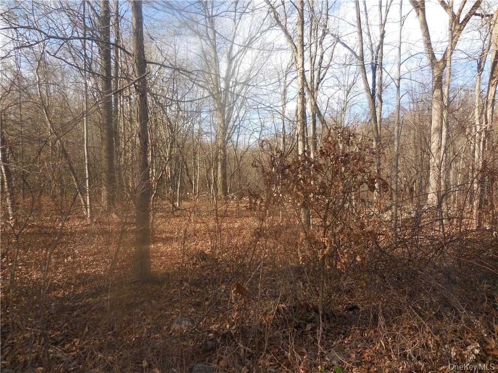 Lakeside Road thumbnail 19