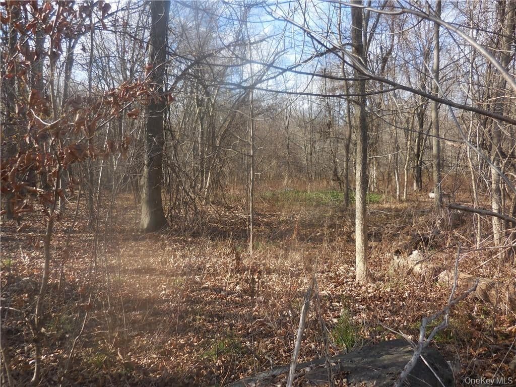 Lakeside Road thumbnail 13