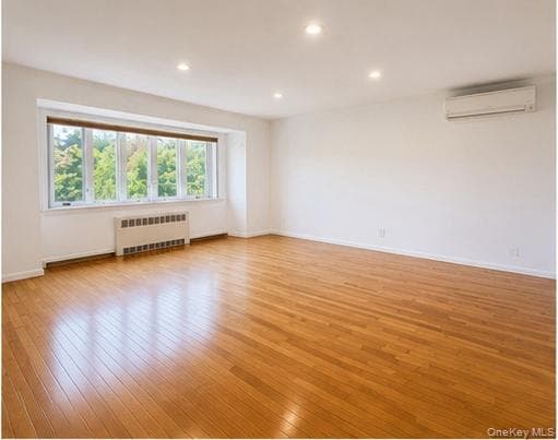 224 New Hyde Park Road thumbnail 5