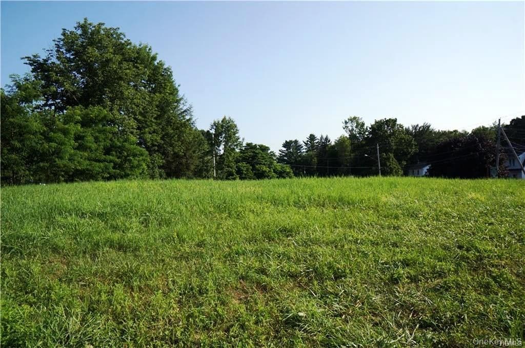 Lot 18 Horseshoe Lake Road And State Route 55 Rd thumbnail 19