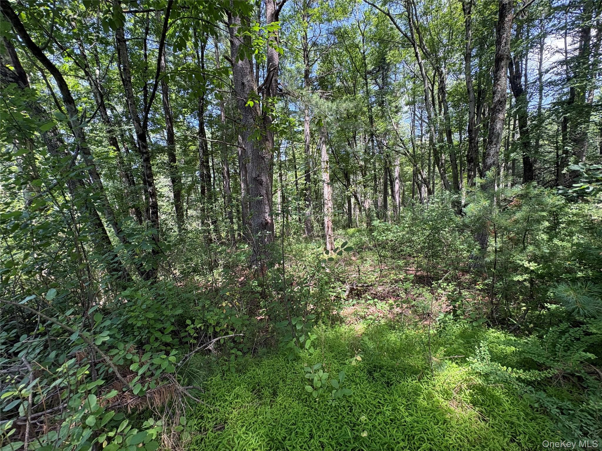 Belair Road thumbnail 4