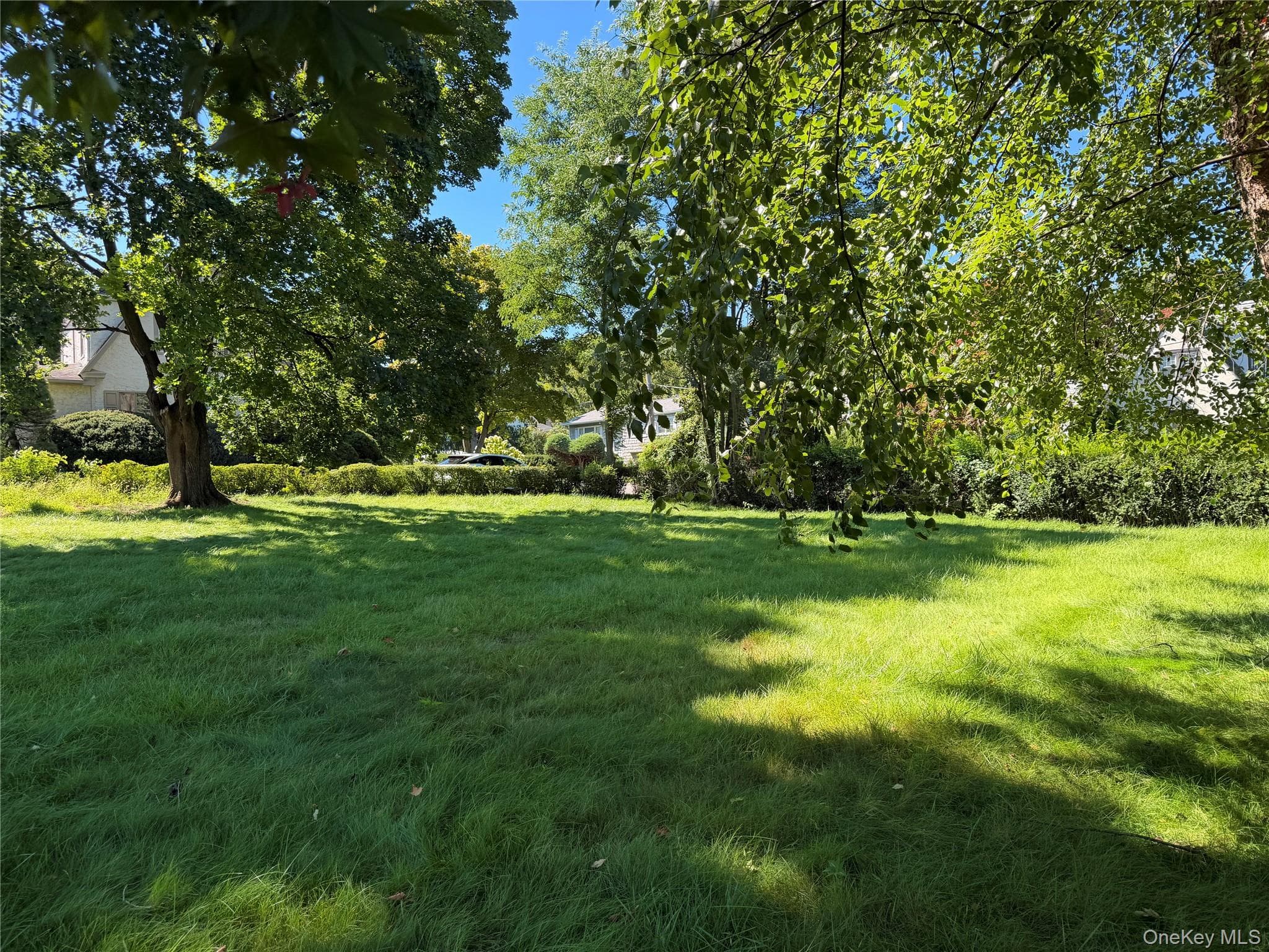 0 Corner Oak Poplar Street thumbnail 3
