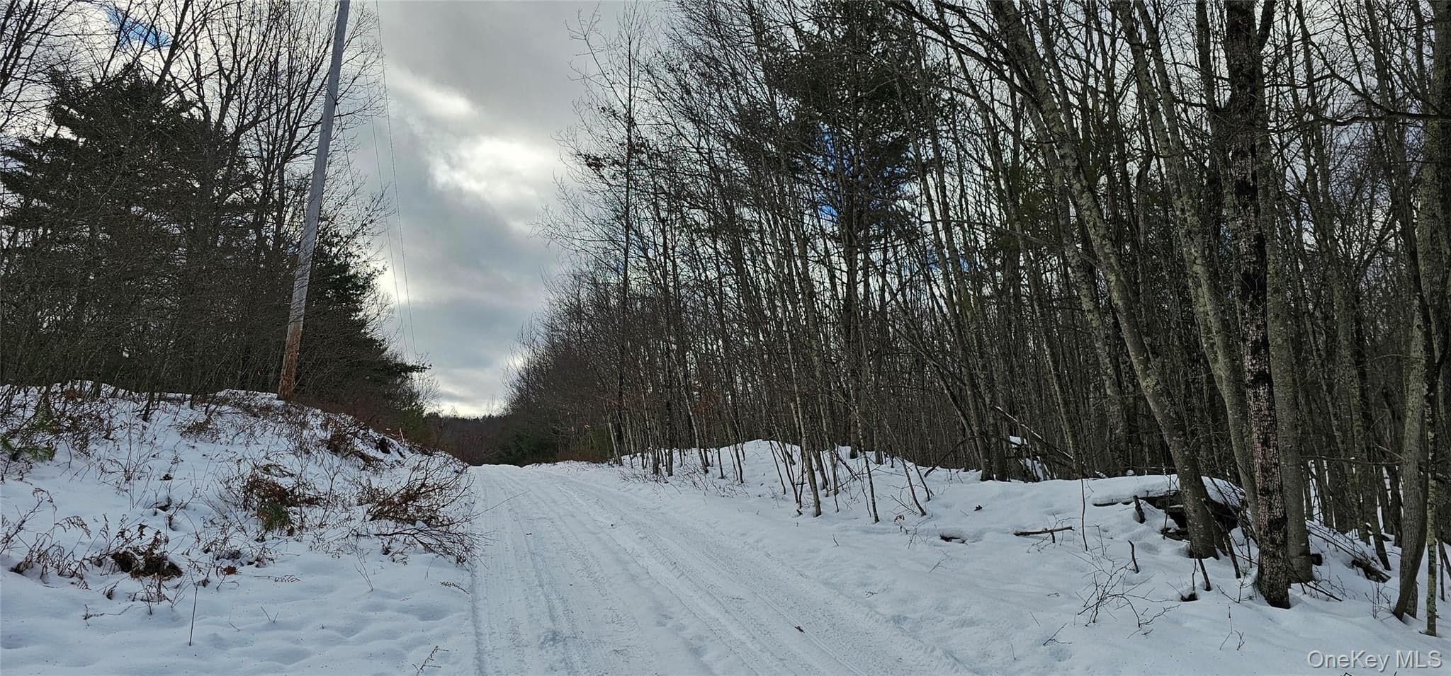 Lot 1.6 Foster (south) Trail thumbnail 12