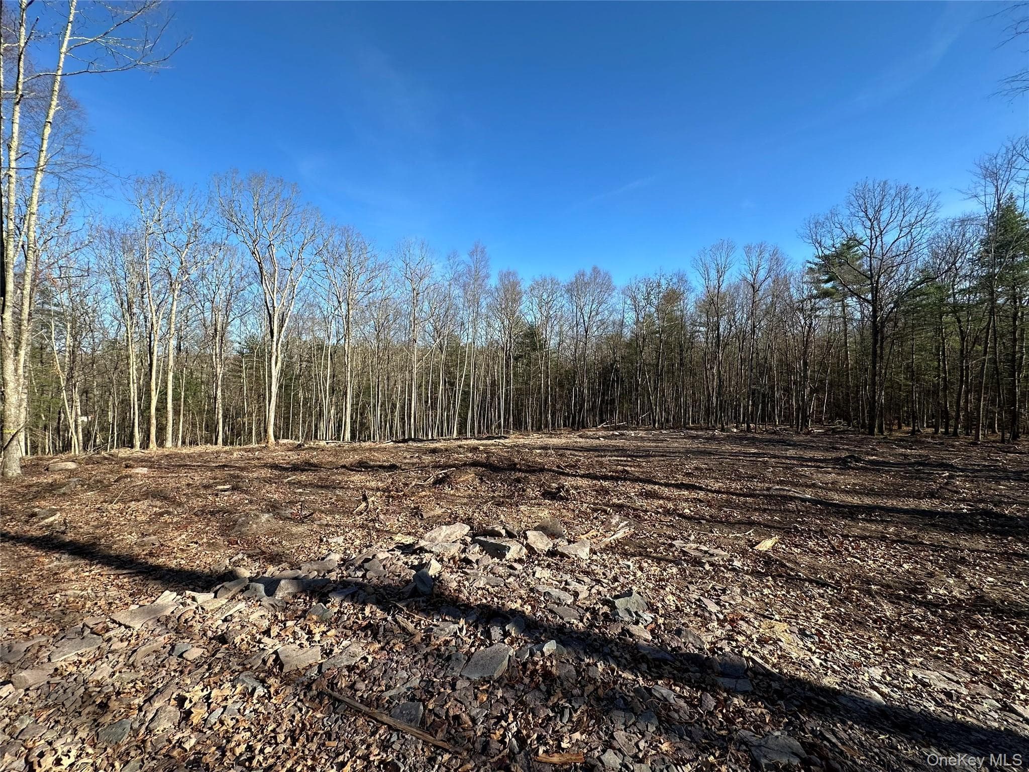 Lot 1.6 Foster (south) Trail thumbnail 2