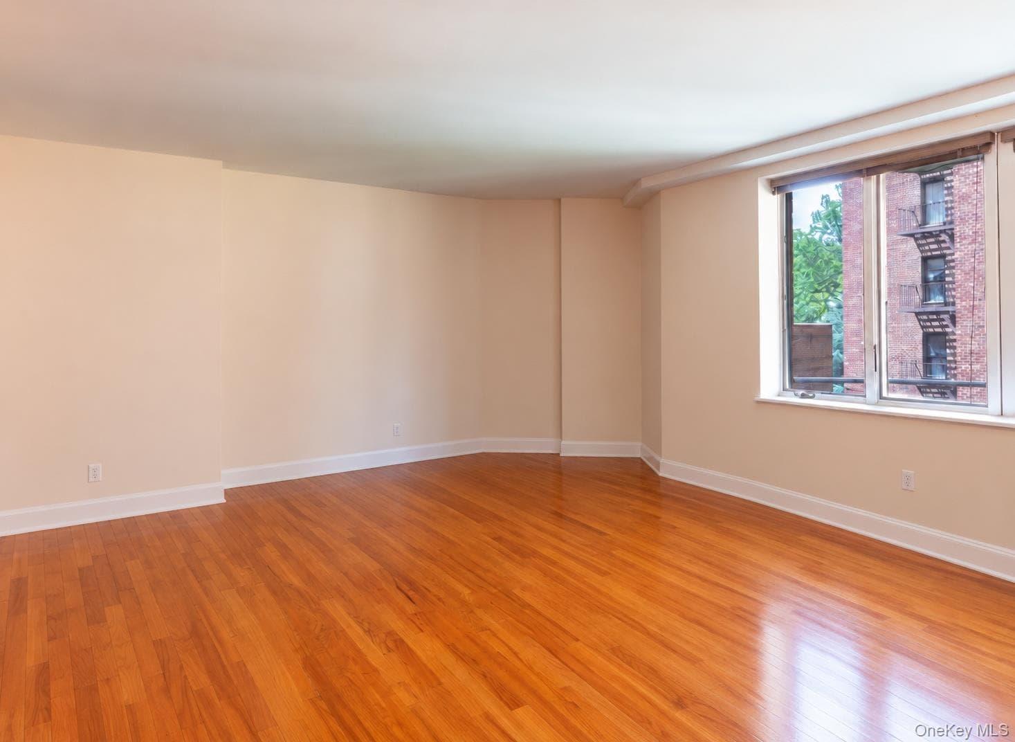 116-11 Curzon Road Unit: 4C thumbnail 8