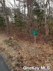 Middle Country Road thumbnail 5