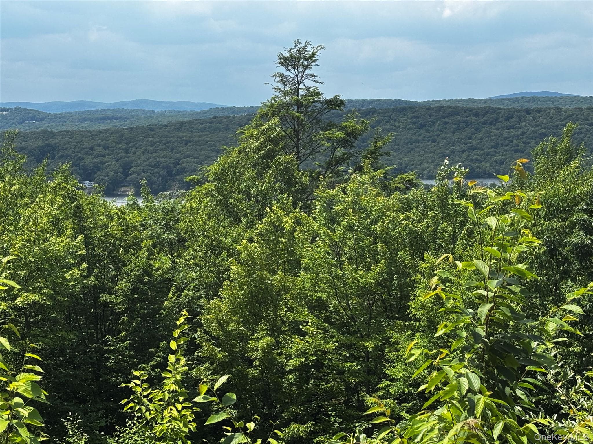 560 Oscawana Lake Road thumbnail 14
