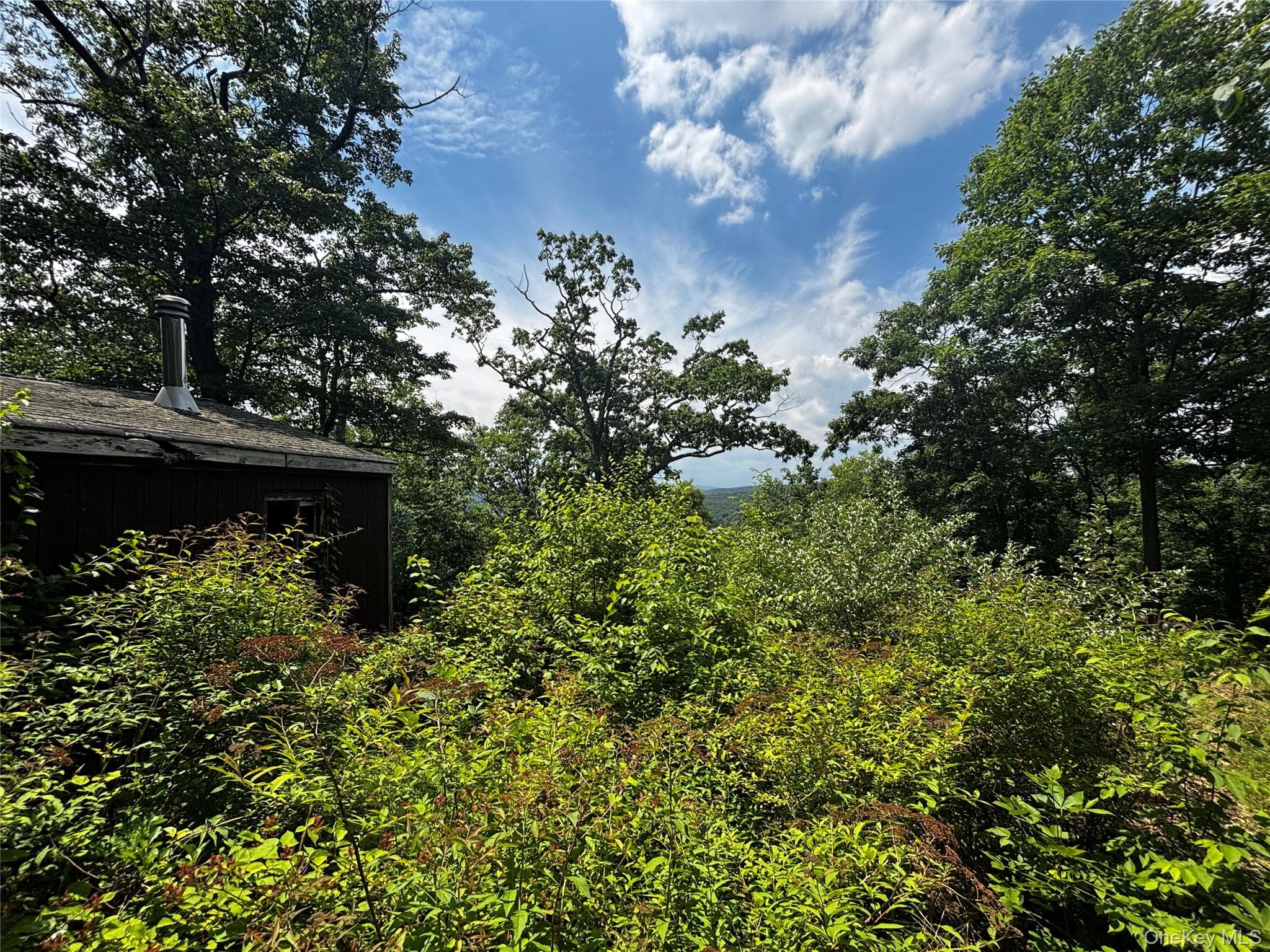 560 Oscawana Lake Road thumbnail 8