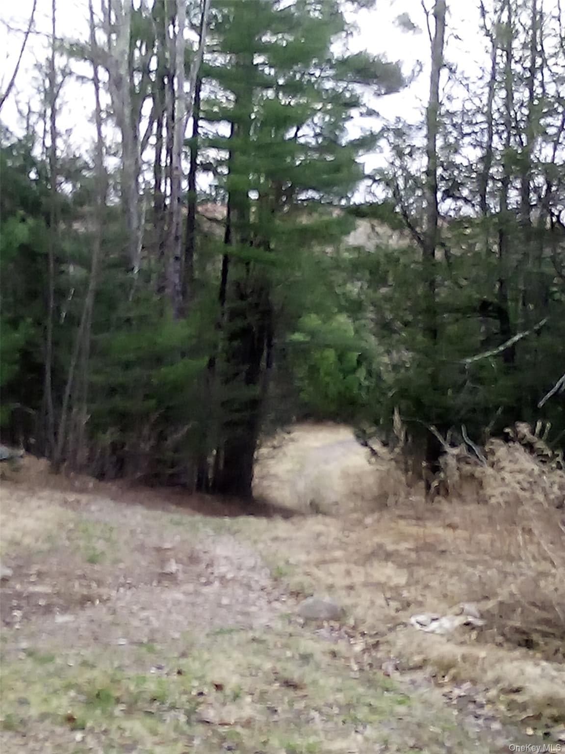 Gibber Road thumbnail 4